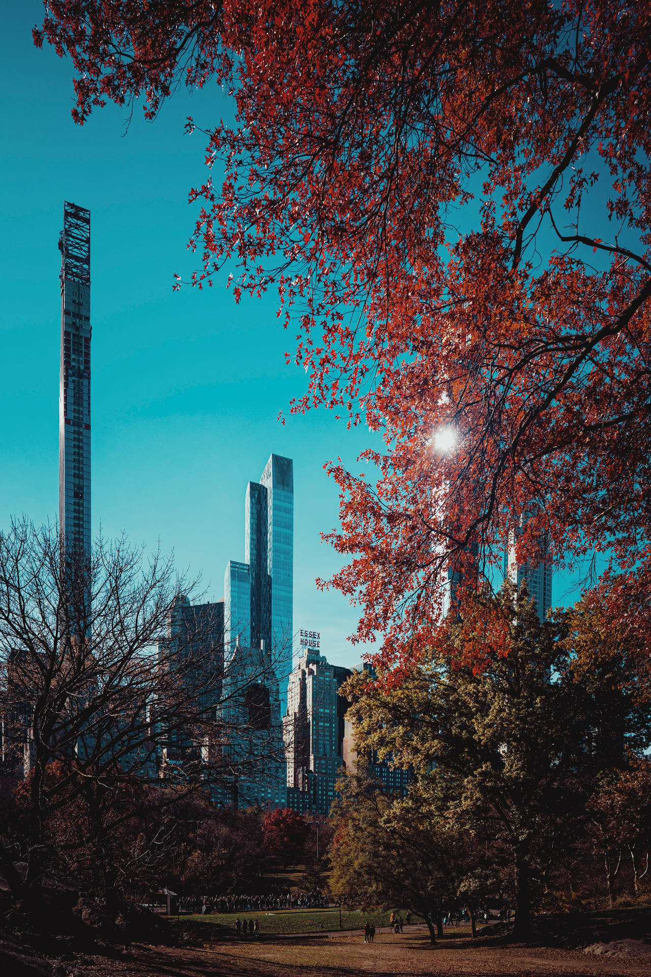 Autumn Trees In Central Park Background