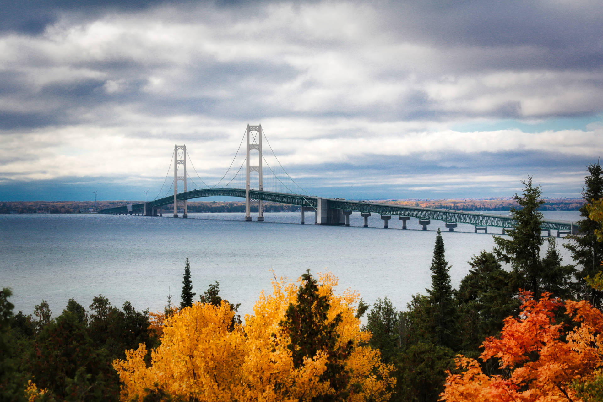 Autumn Trees Near Mackinac Bridge Background