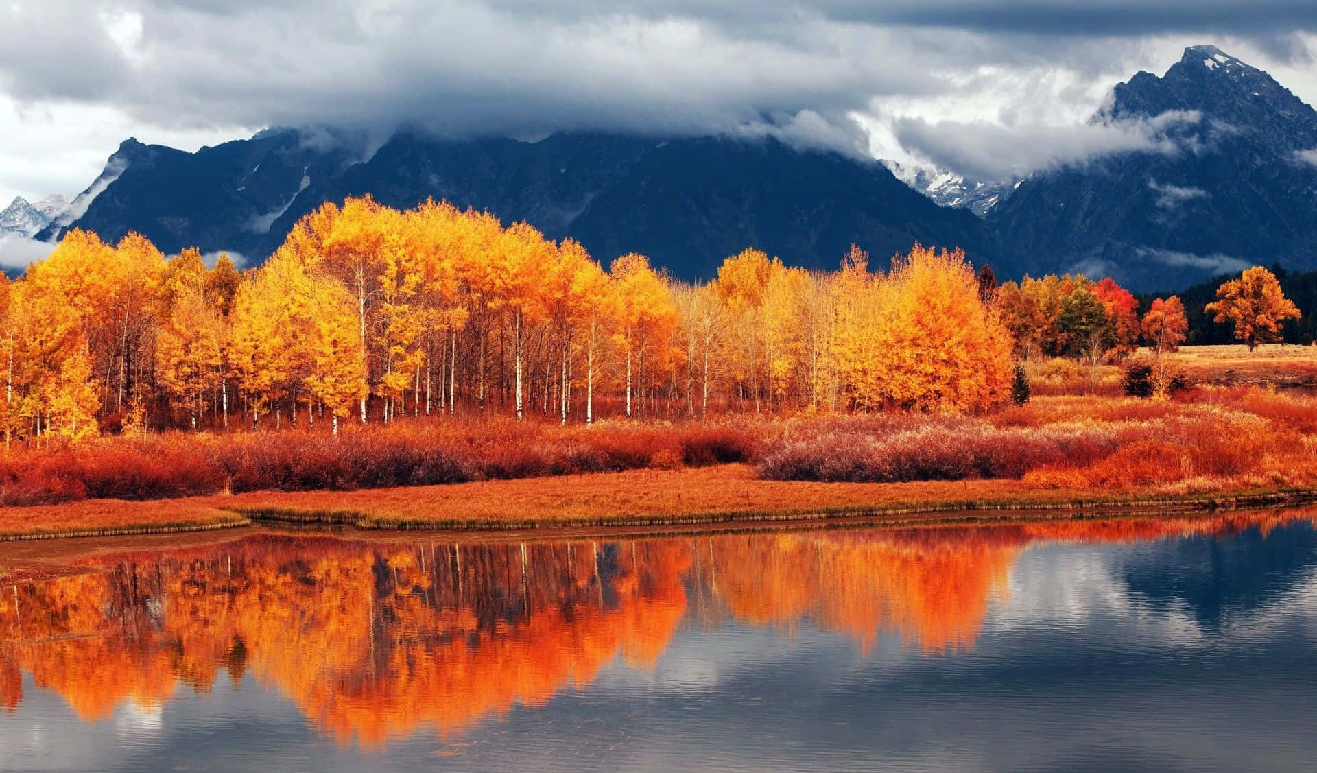 Autumn Trees Reflected In A Lake Background