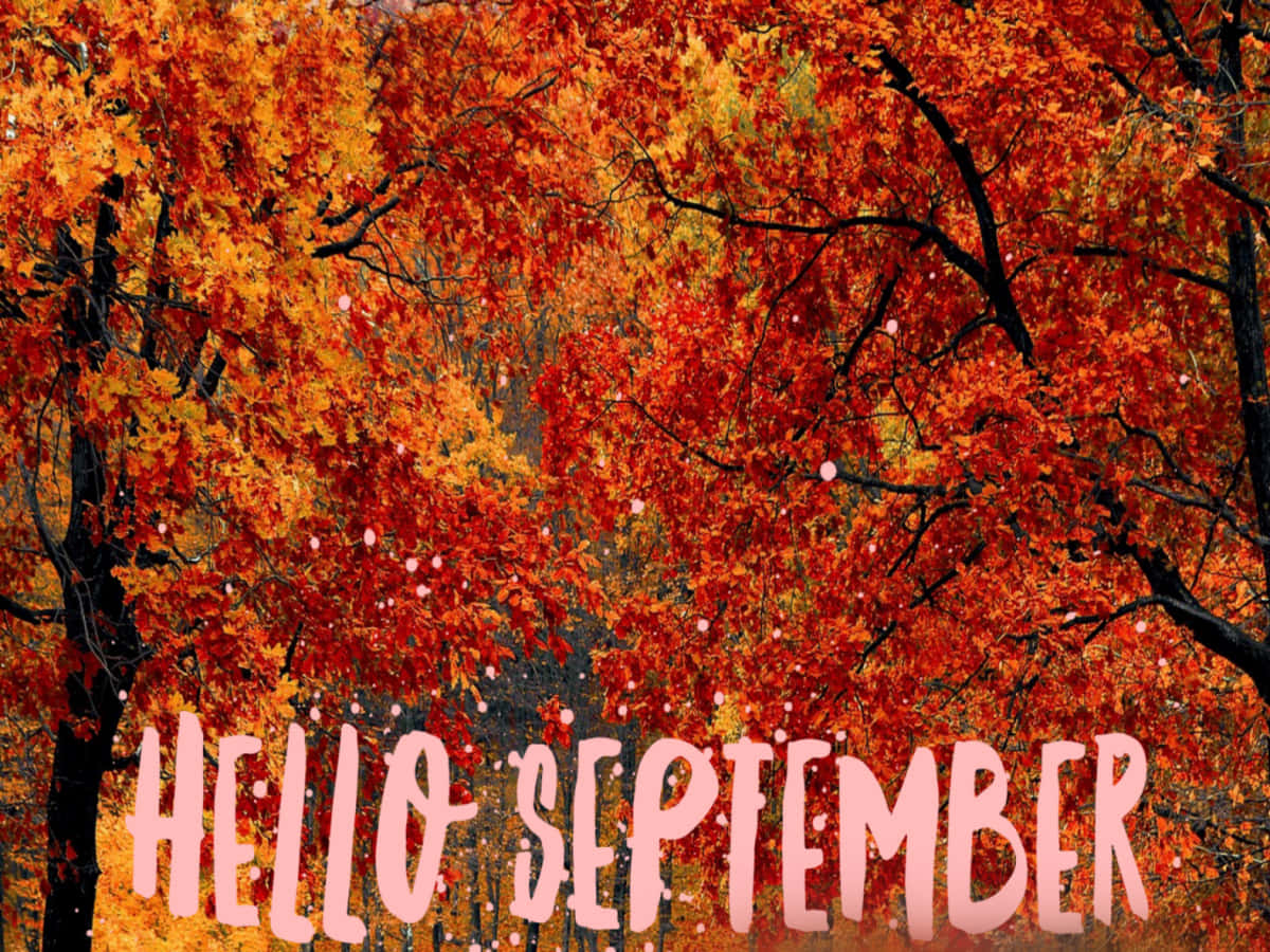 Autumn Trees With Hello September Short Greeting Background
