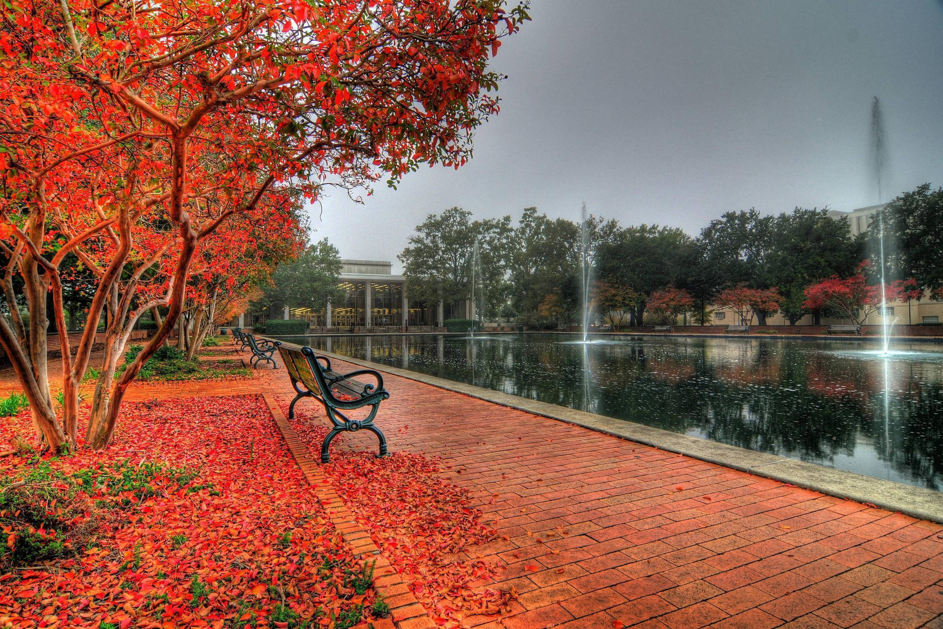 Autumn University Of South Carolina Campus