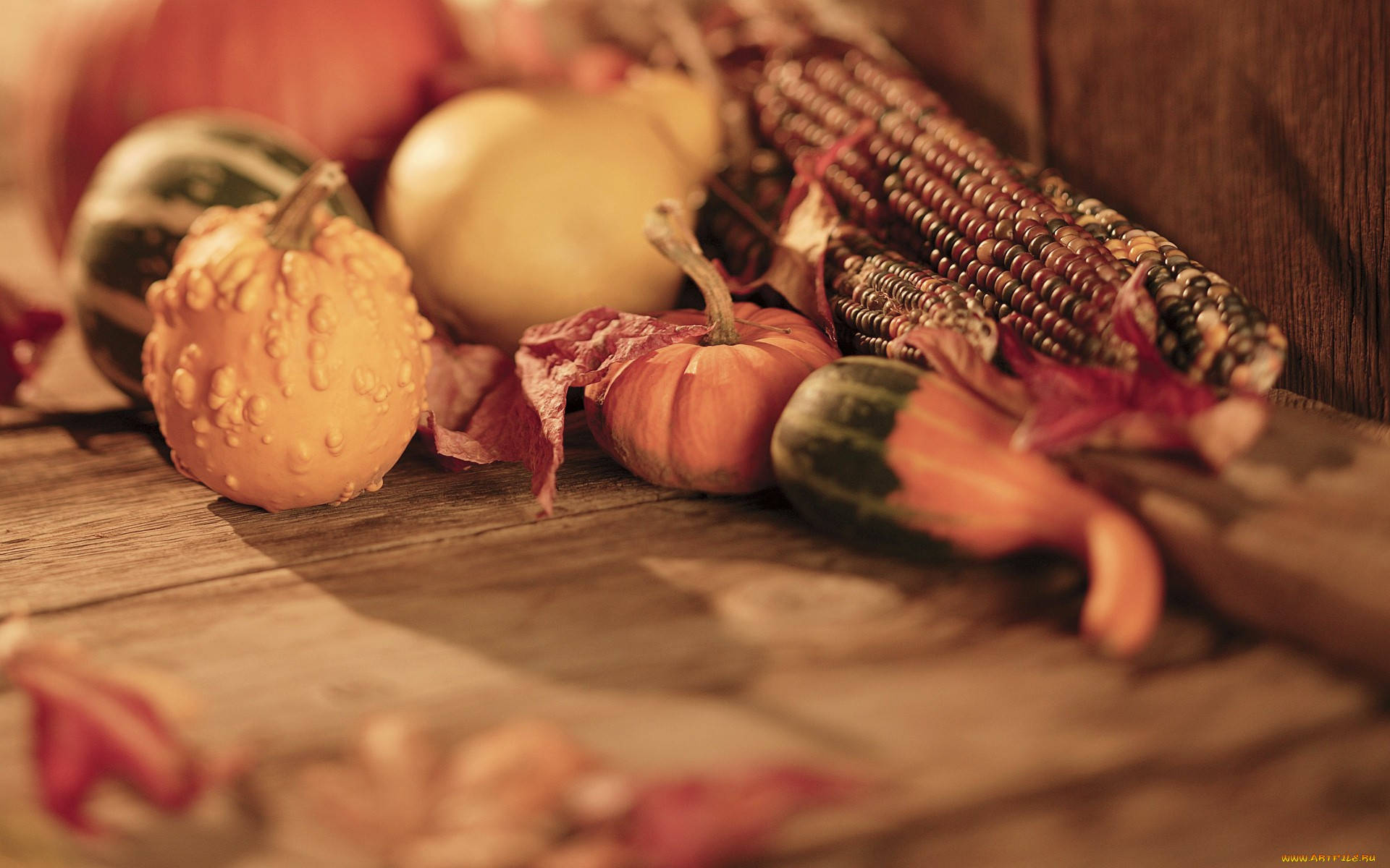 Autumn Vegetables Harvest Background