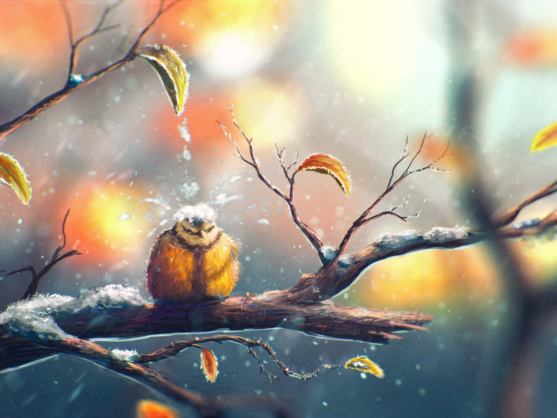 Autumn Winter Transition Owl.jpg Background