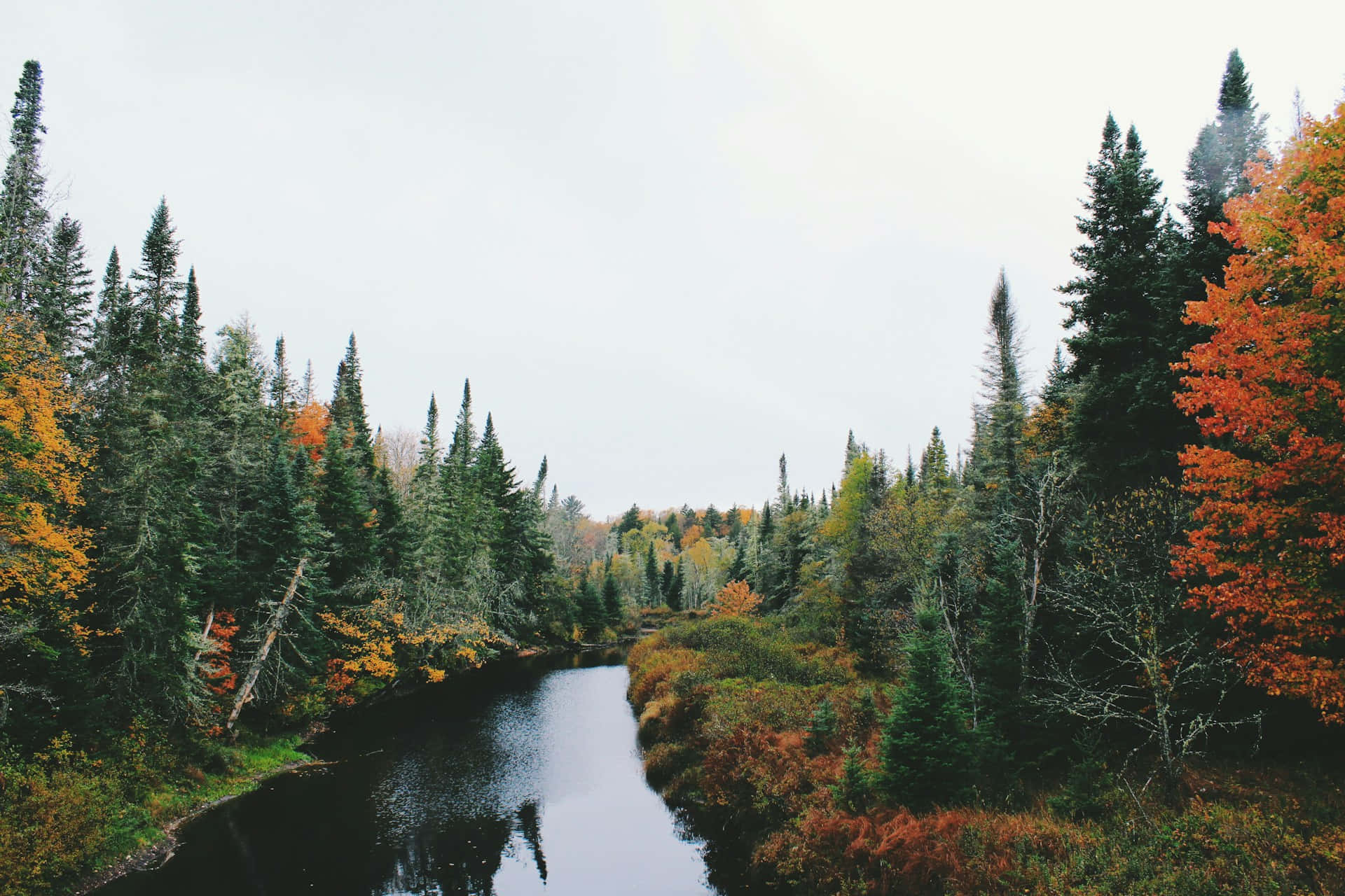 Autumnal Forest River Desktop Wallpaper Background