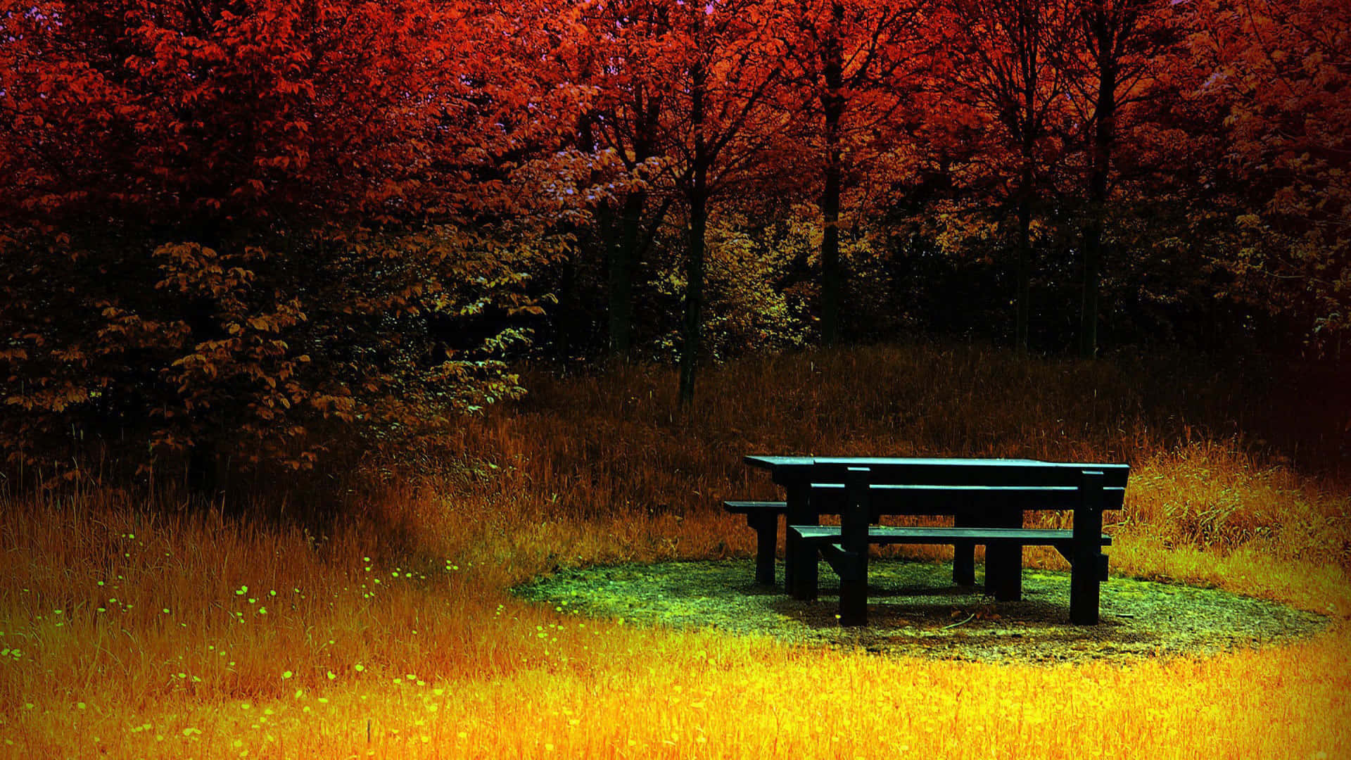 Autumnal Park Bench Scene Background