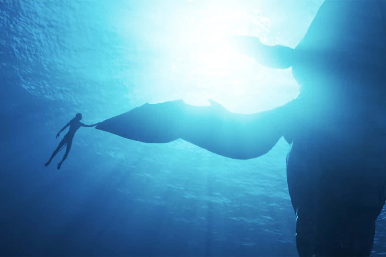 Avatar 2 The Way Of Water Underwater Scene Background