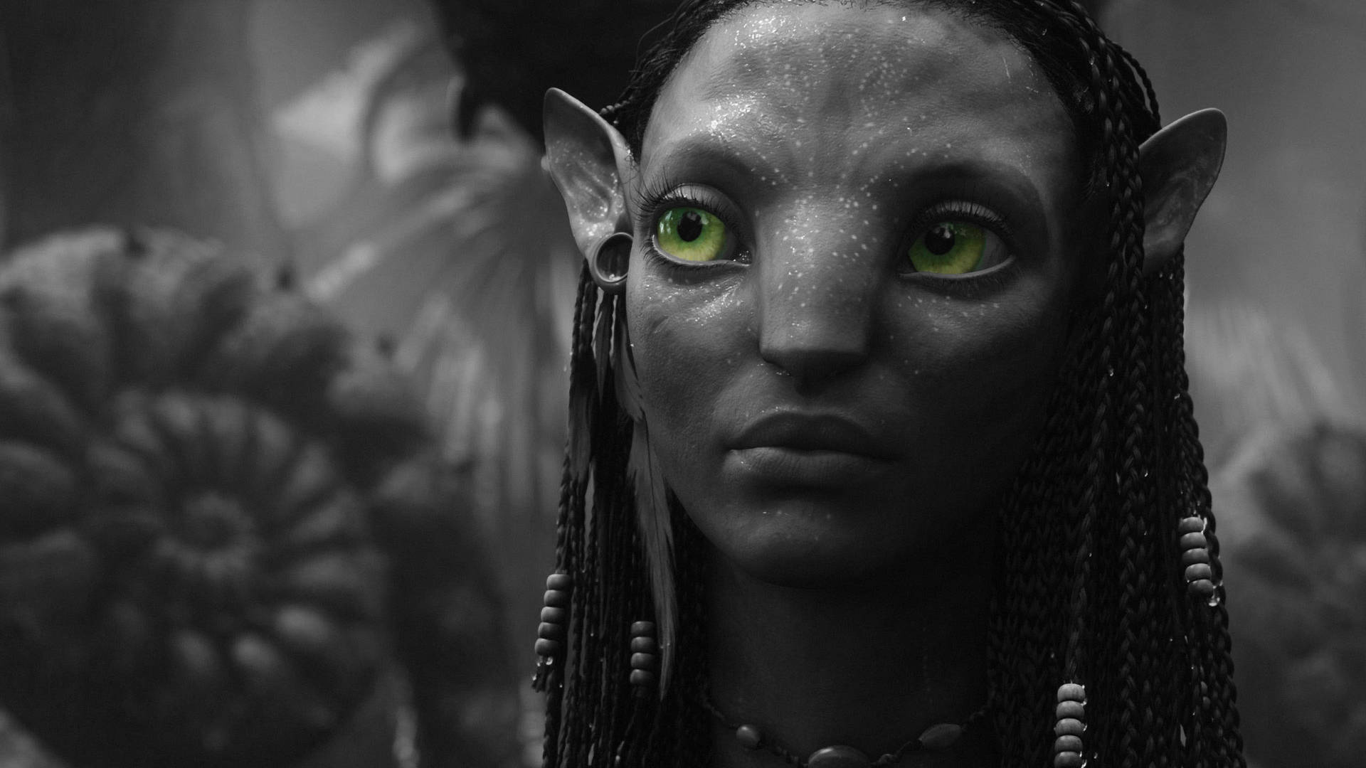 Avatar Neytiri Black And White Hd