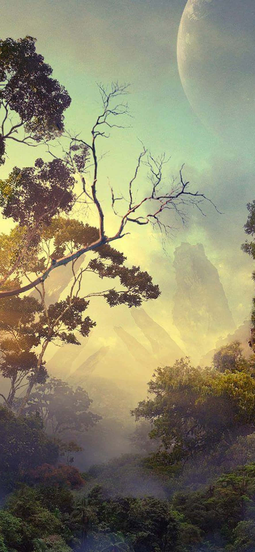 Avatar Pandora Forest And Moon Mobile Background