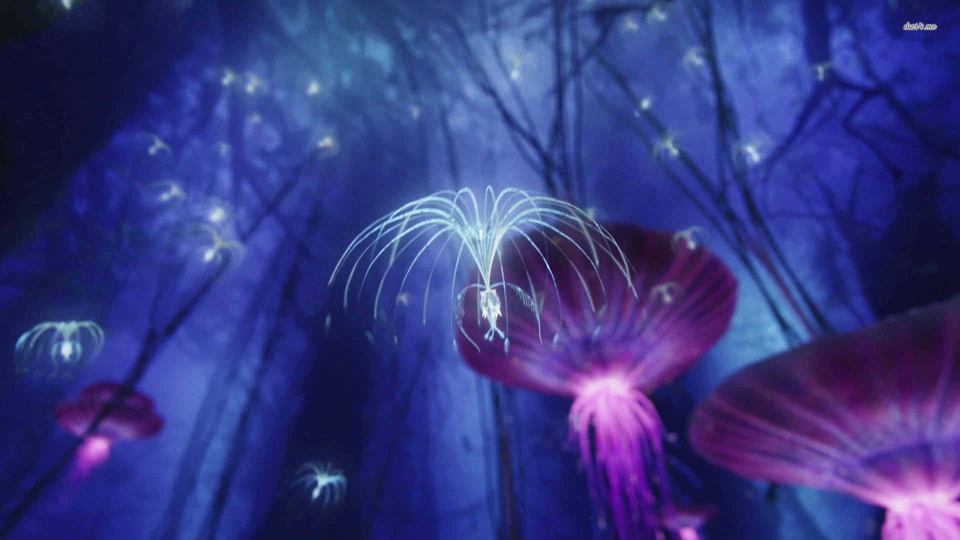 Avatar Pandora Purple Flying Jelly Fish Background