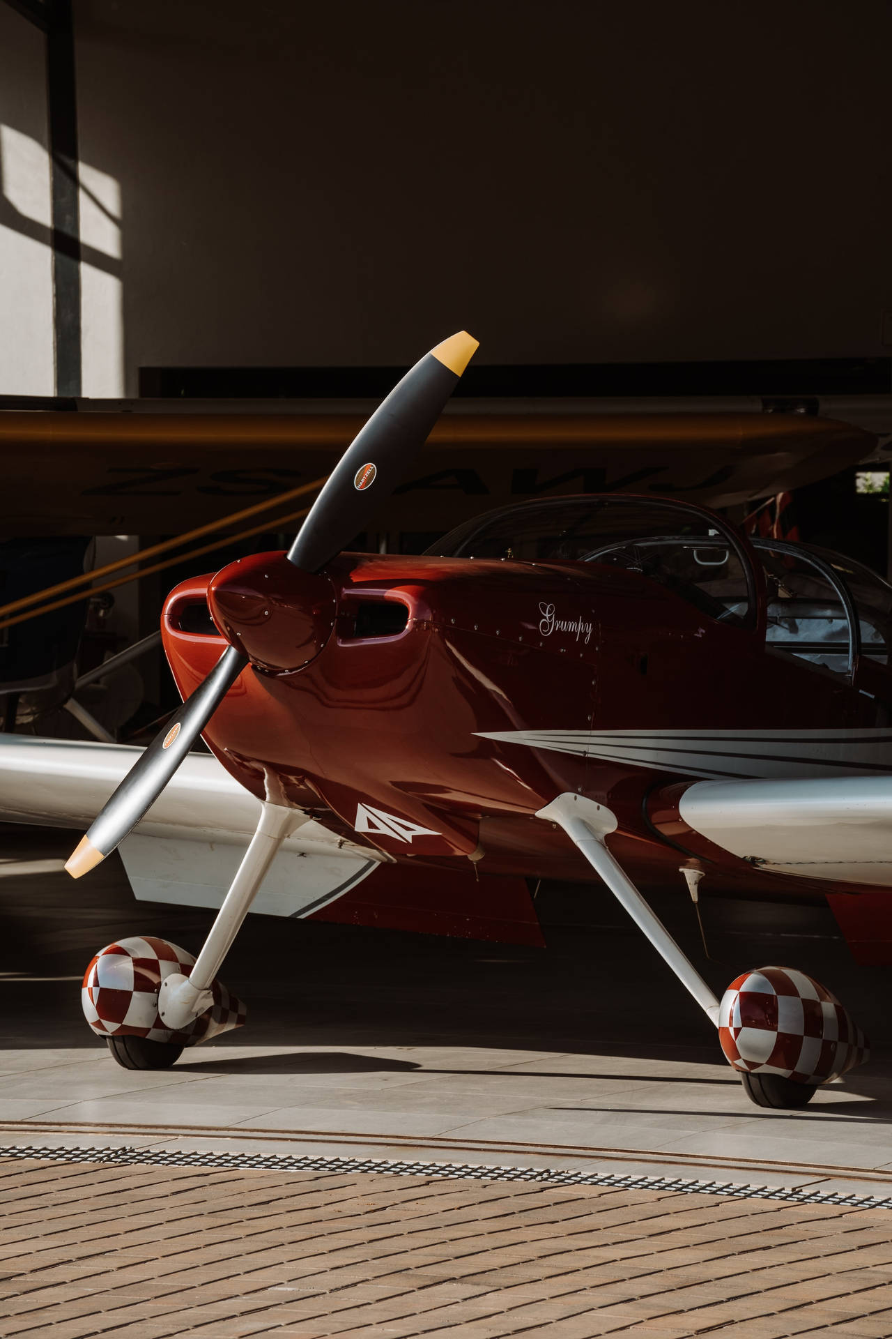 Aviation Wolf Pro 360 Monoplane Aircraft Background