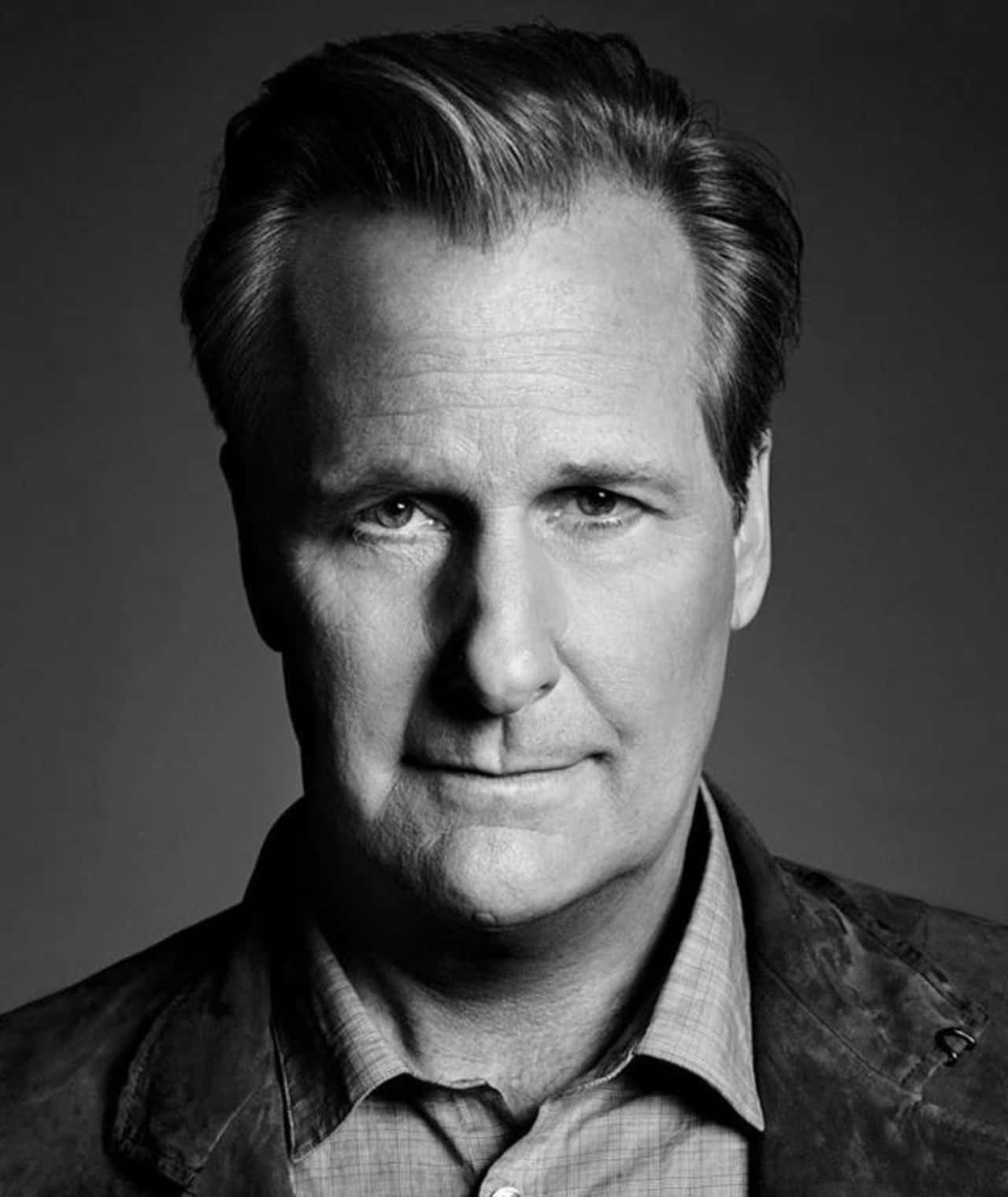 Award-winning Actor Jeff Daniels In A Thoughtful Pose.