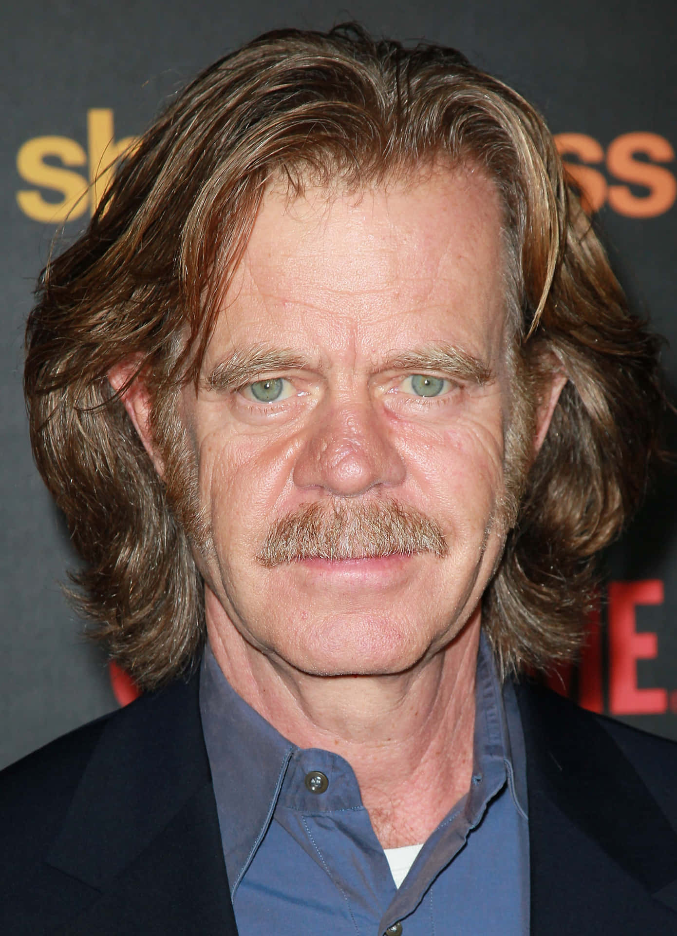 Award-winning Actor William H. Macy Posing In A Portrait Background