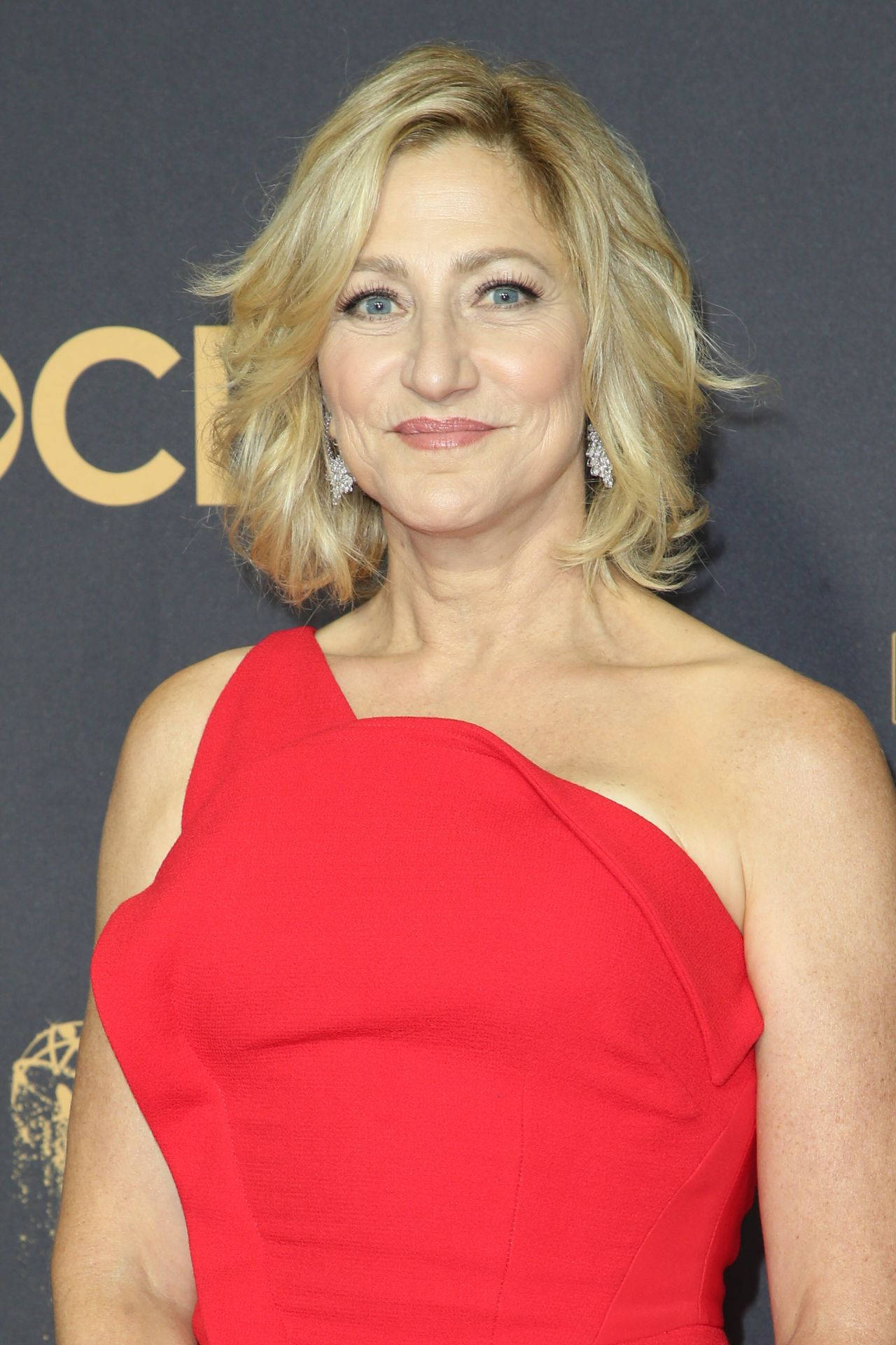 Award-winning Actress Edie Falco Of The Sopranos