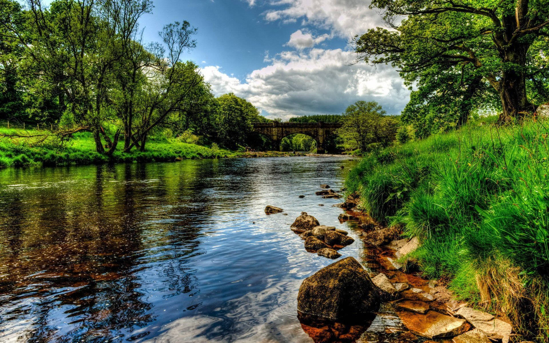 Awesome Hdr Grassy Riverside Daytime Background