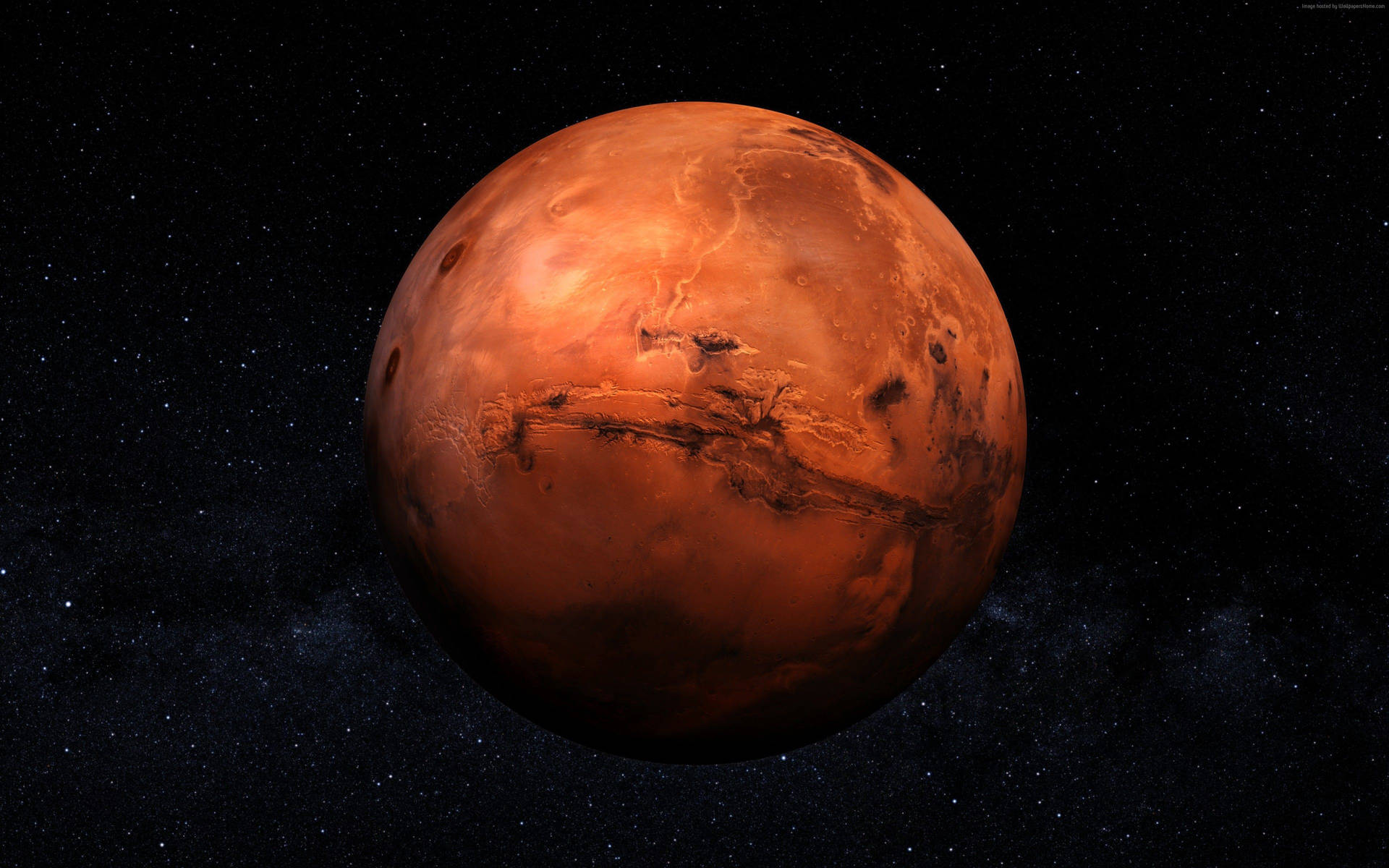 Awesome Mars' Landscape Portrait Background