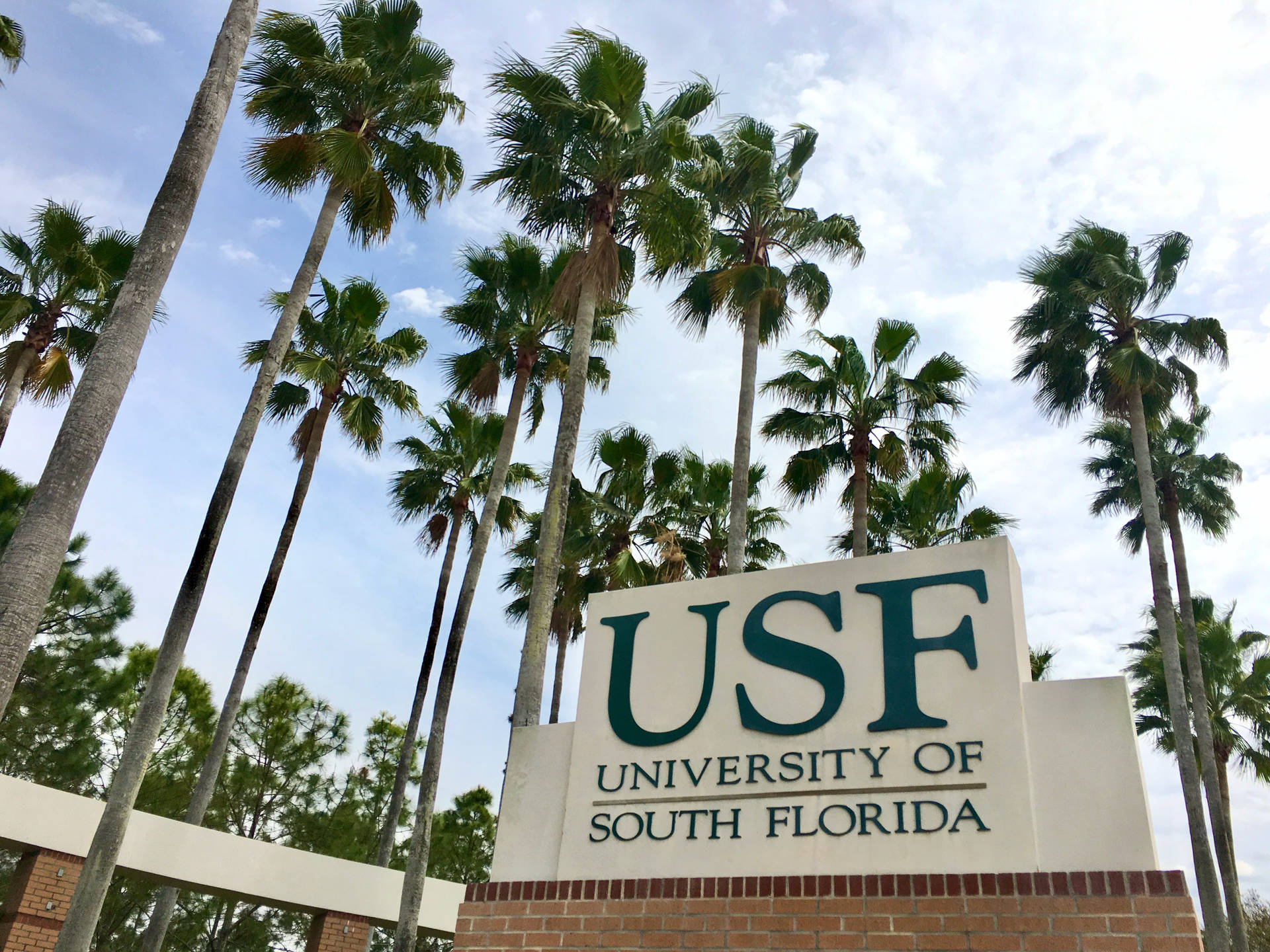 Awesome University Of South Florida Sign