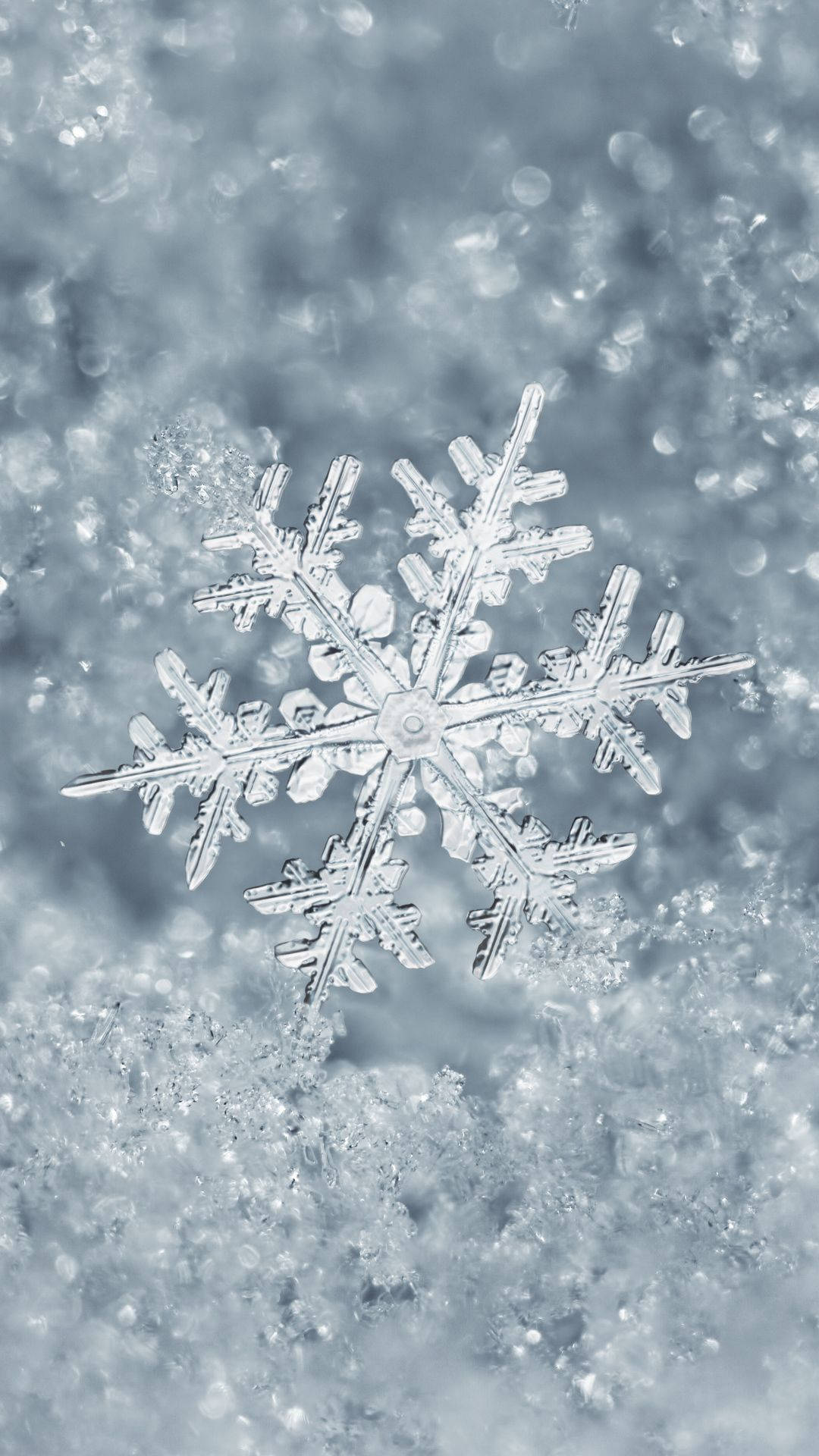Awesome Winter Snowflake Background