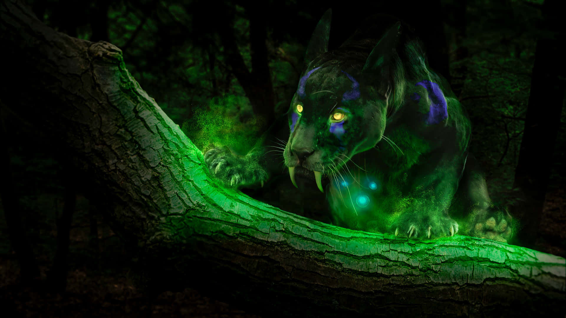 Awww! Take A Look At This Adorable Black Panther! Background