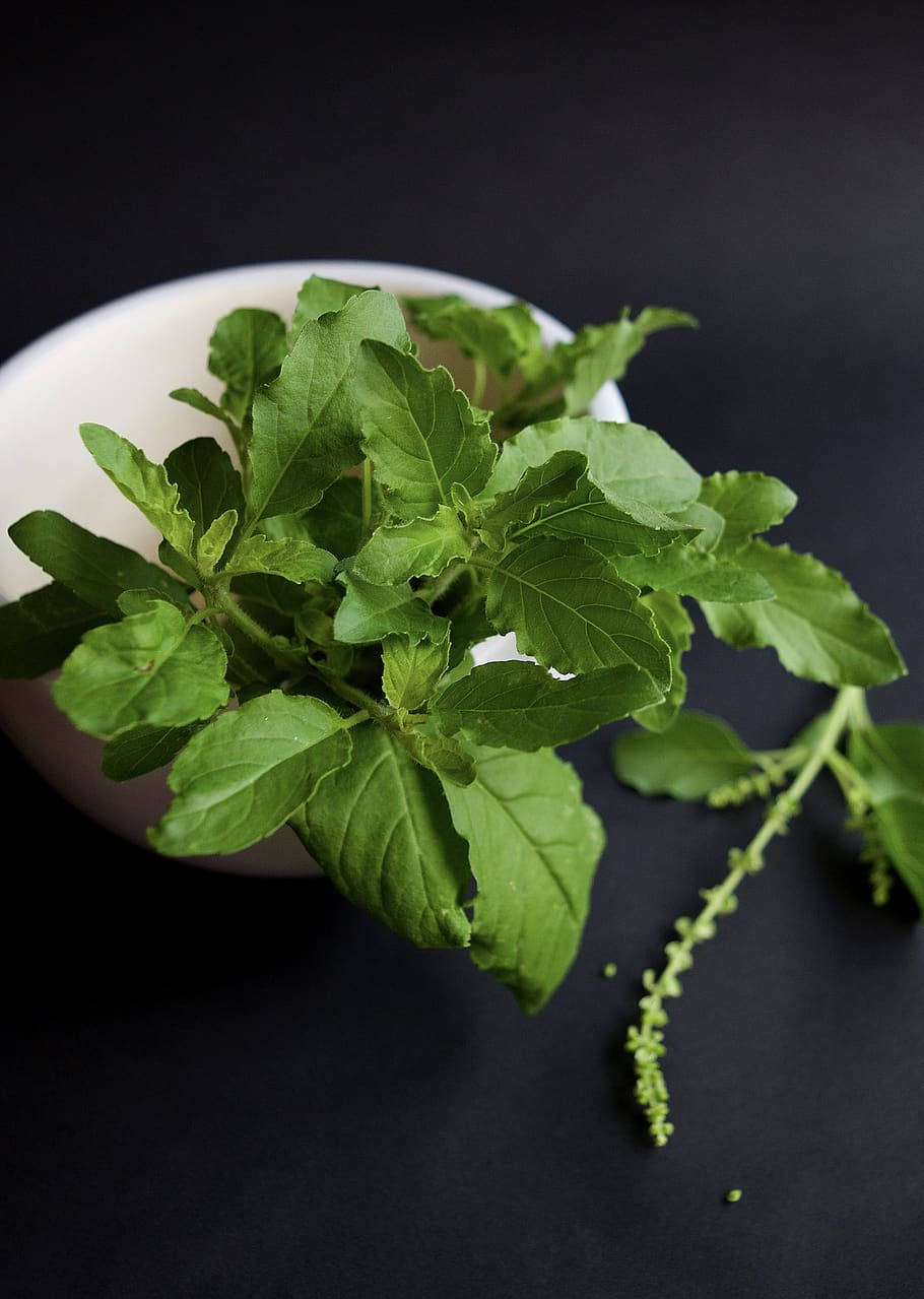 Ayurveda Hd Herbs On Table Background