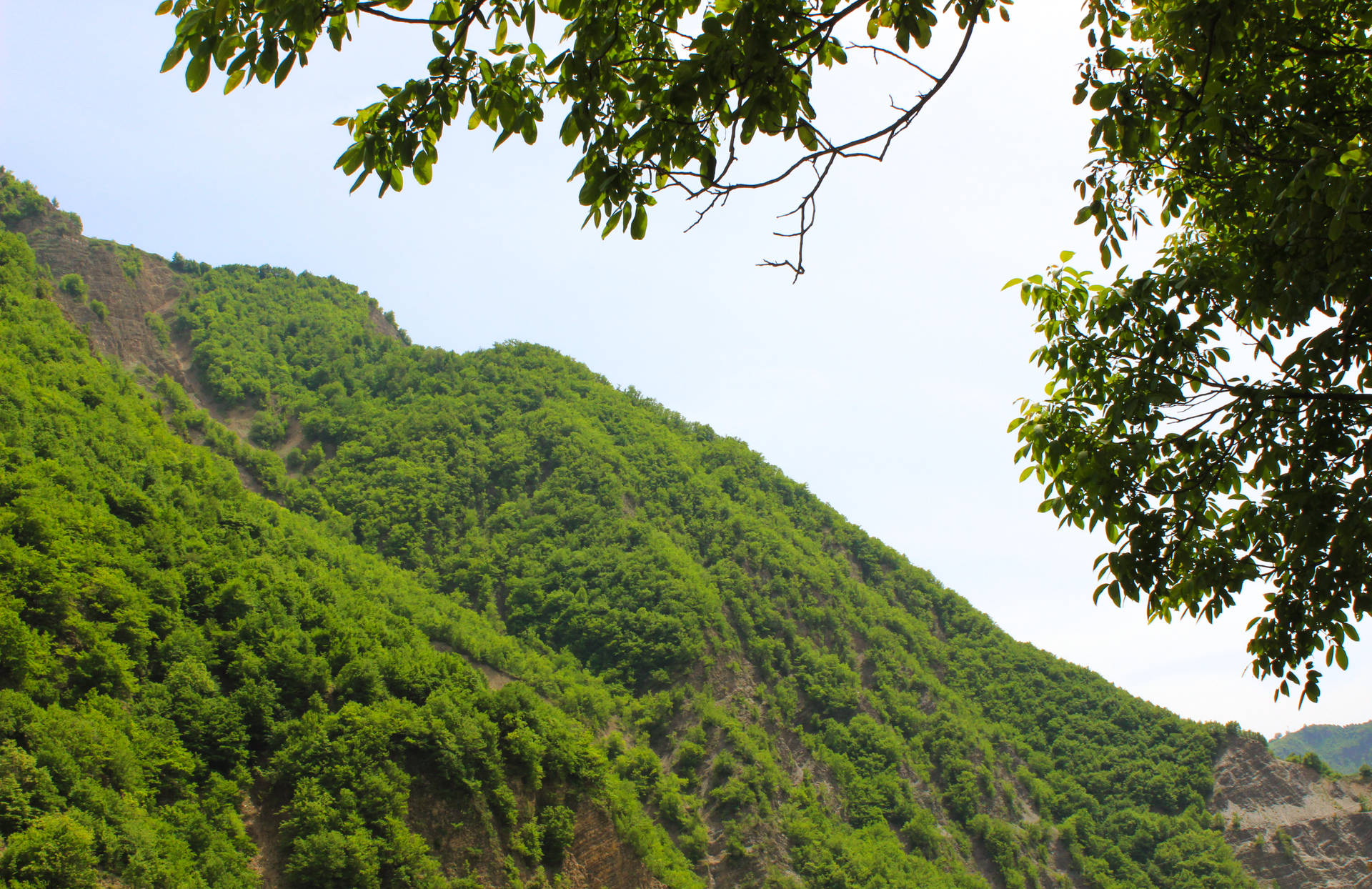 Azerbaijan Green Mountain Background