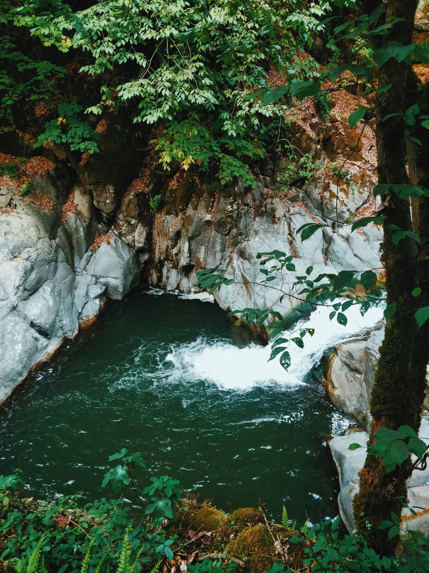 Azerbaijan Hidden Paradise Background