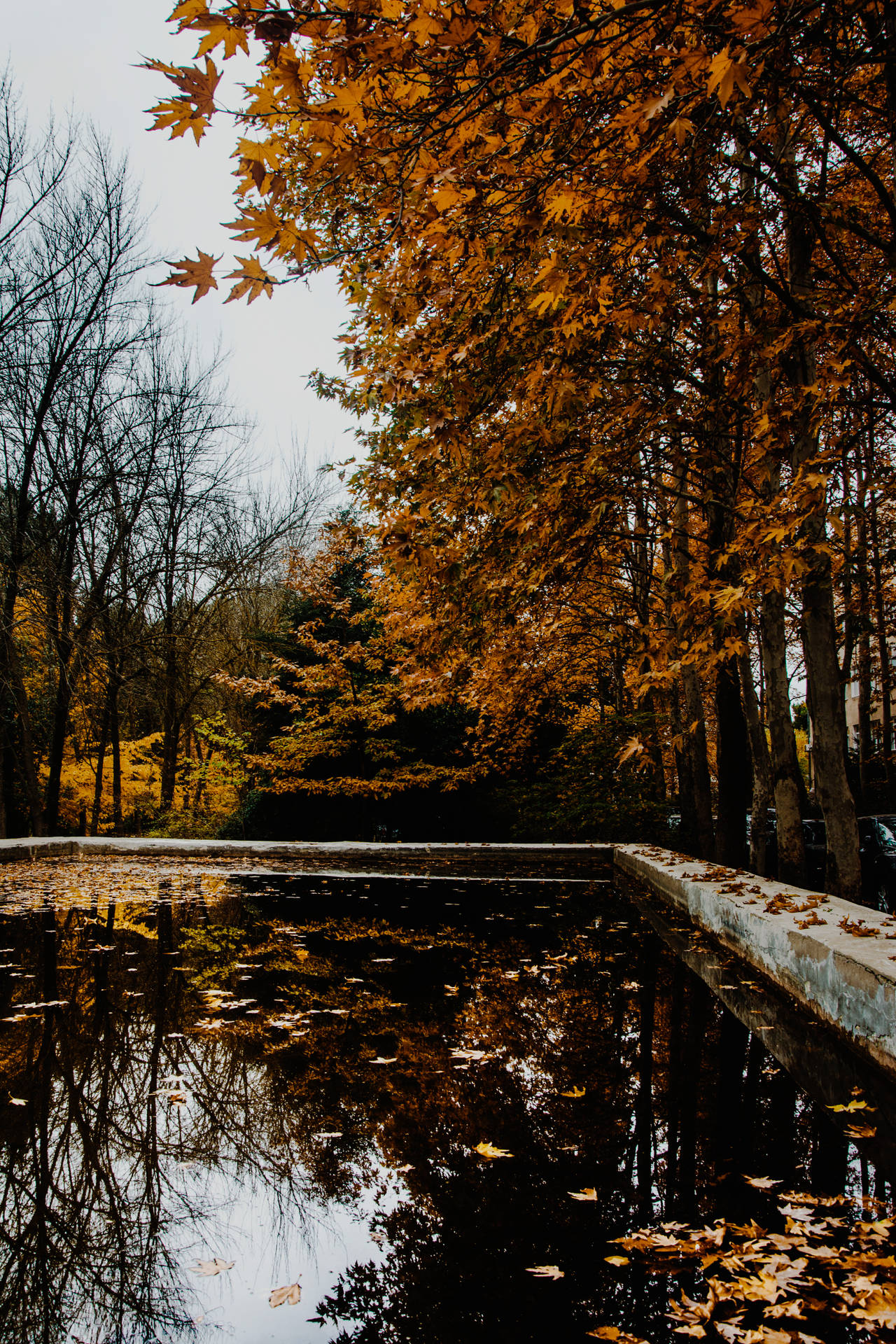 Azerbaijan In Fall Background