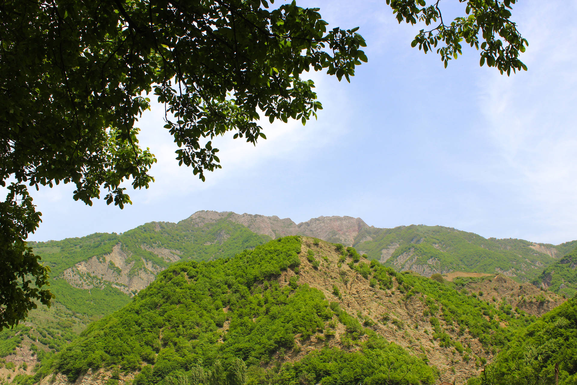 Azerbaijan Trees And Mountains