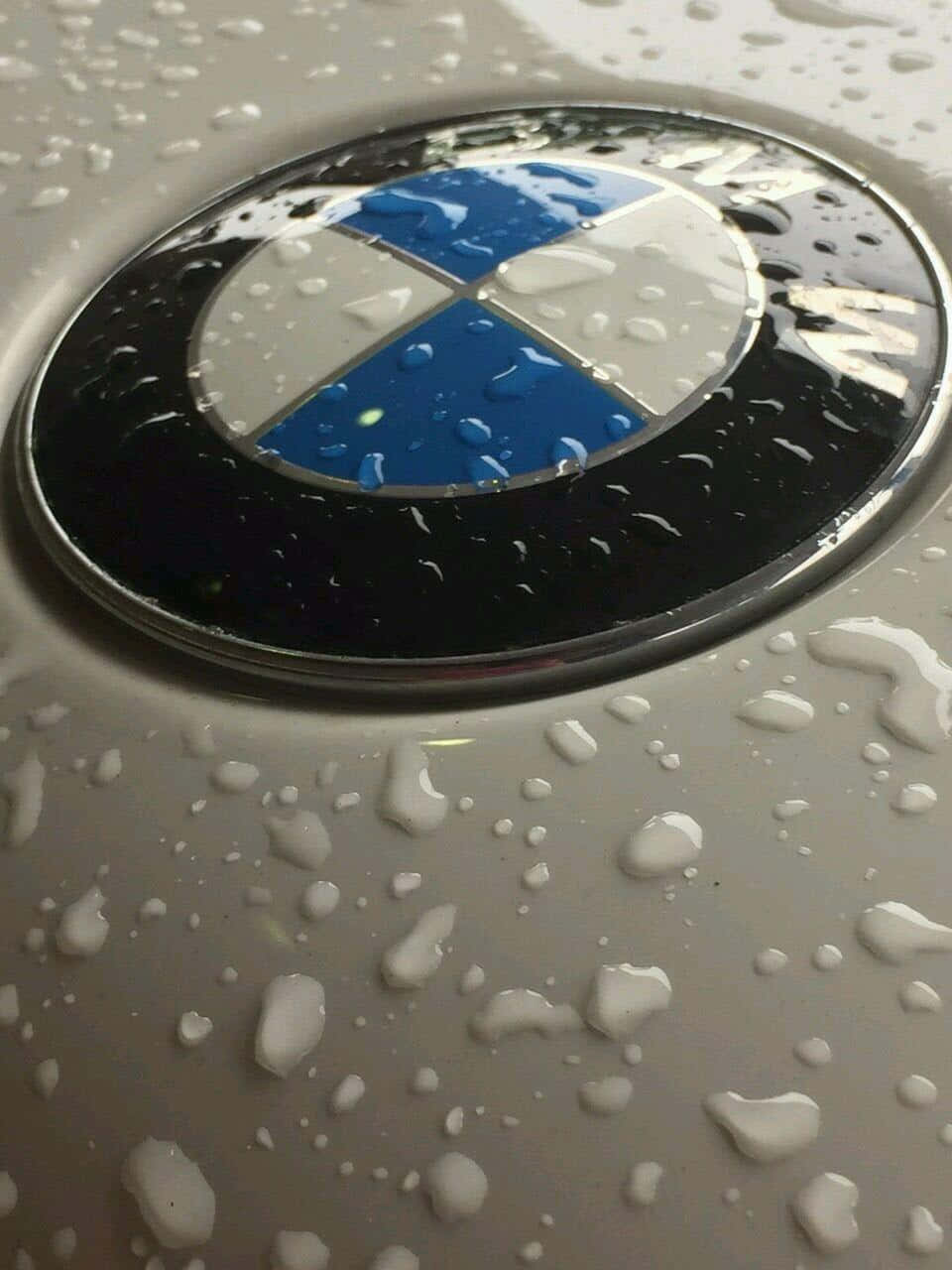 B M W Logo Rain Droplets Closeup Background