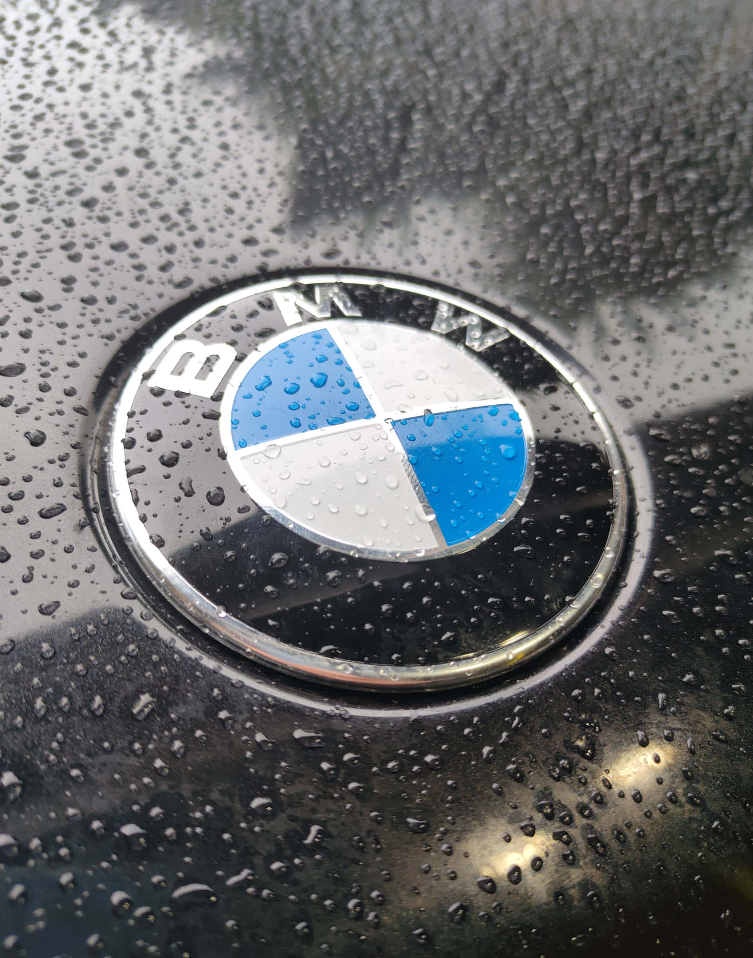 B M W Logo Rain Droplets Closeup Background
