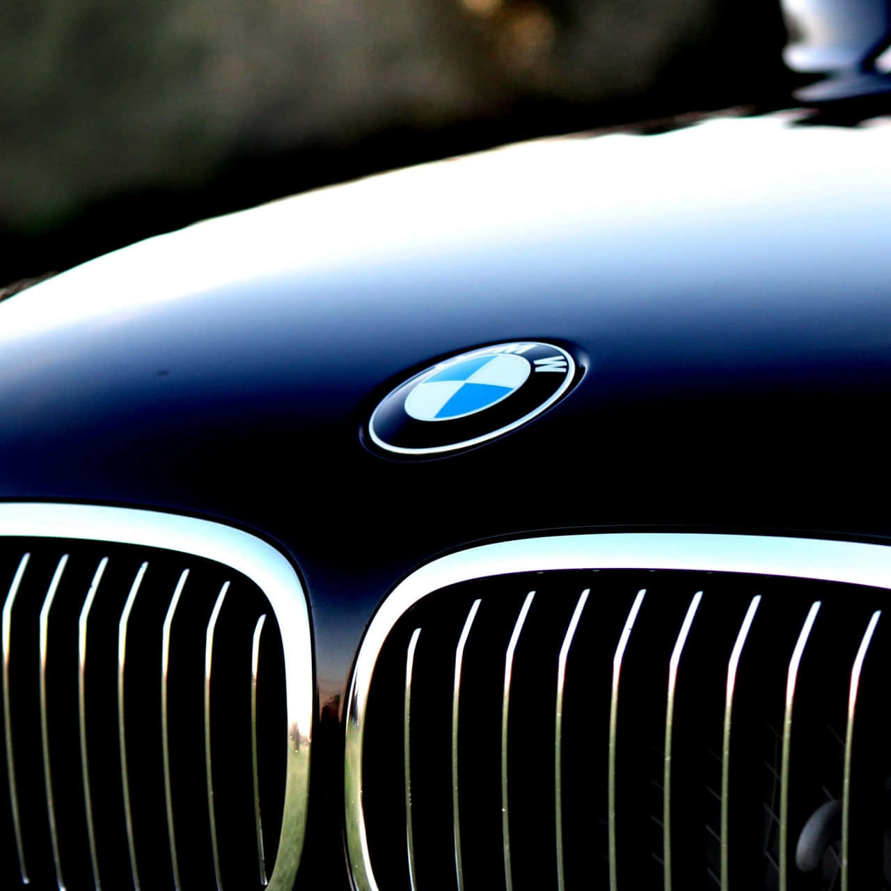 B M W Logoon Car Grille Background