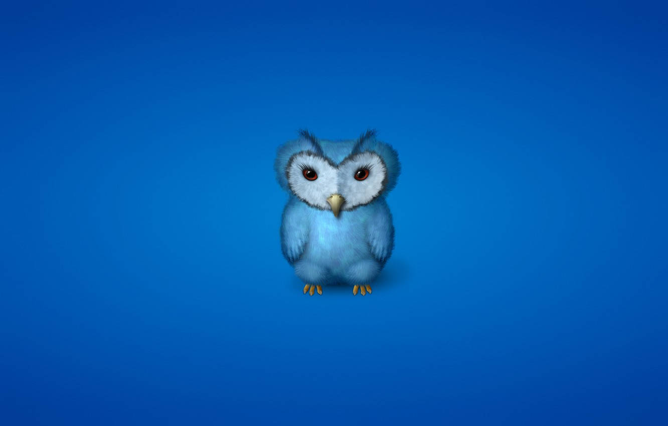 Baby Blue Owl Background