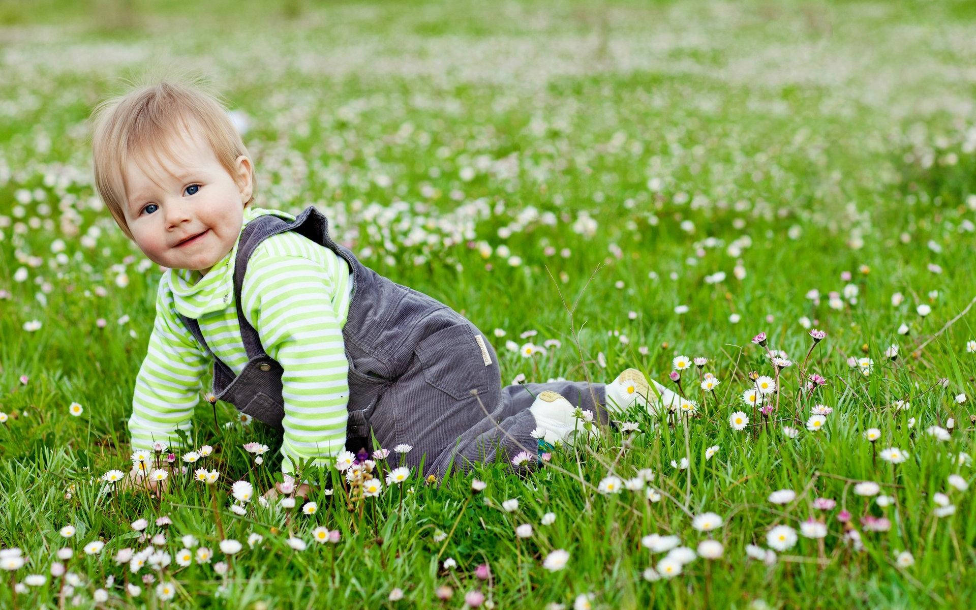 Baby Boy Crawling On Flower Field Background