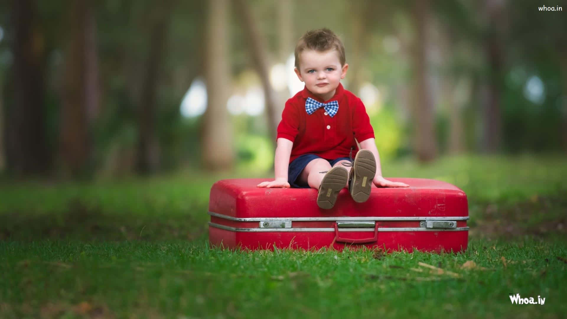 Baby Boy Red Case Sit Down Background