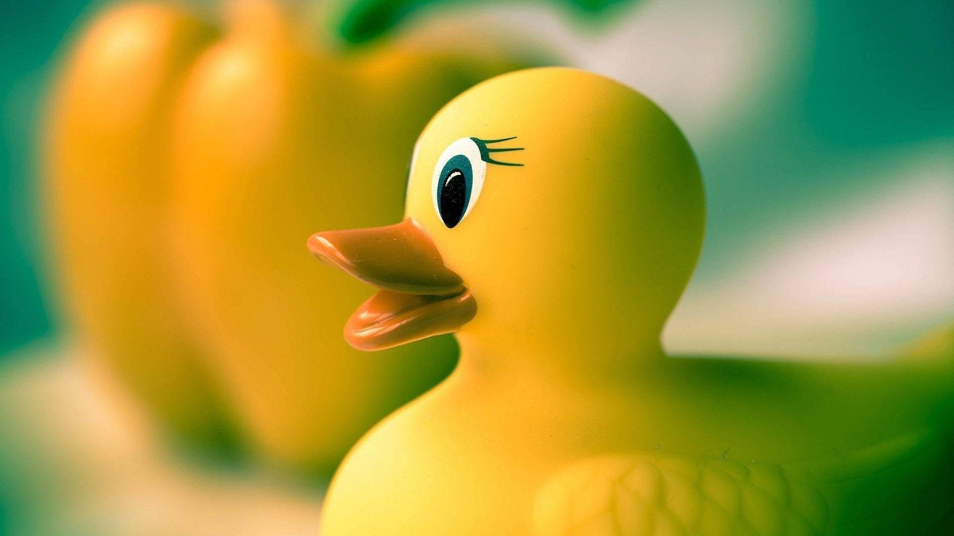 Baby Duck Toy Background