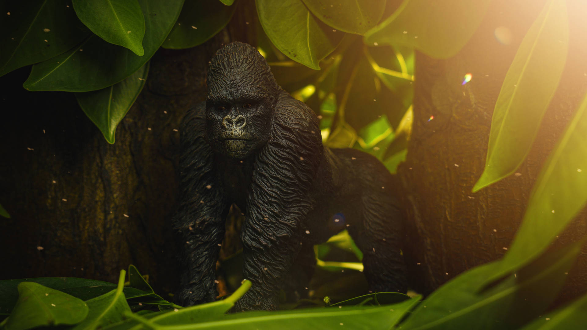 Baby Gorilla In Congo Background