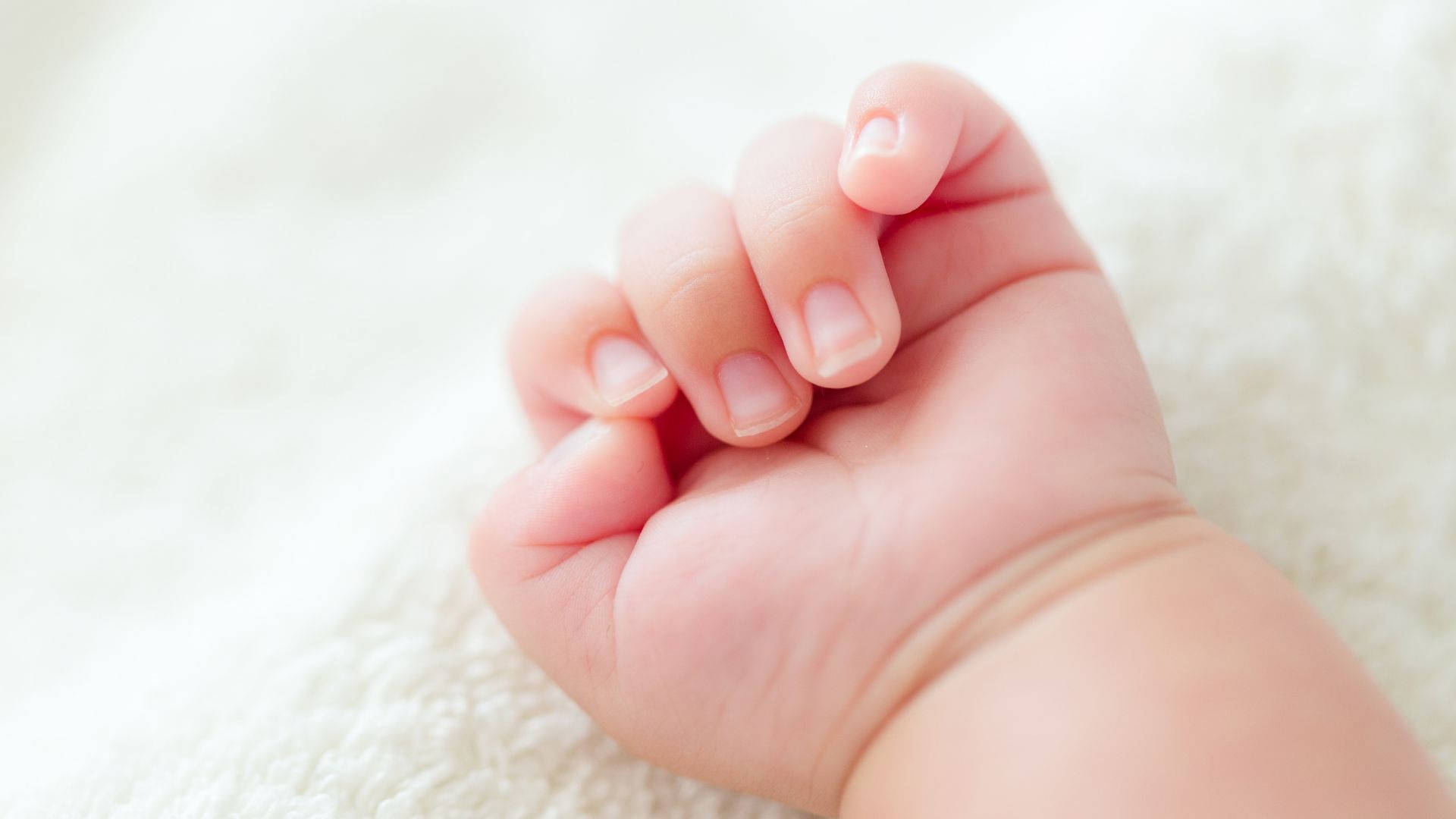 Baby Hand Closed Into A Ball Background