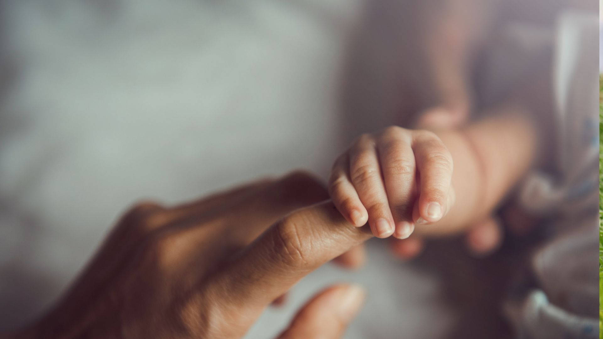 Baby Hand Clutching Onto A Finger Background