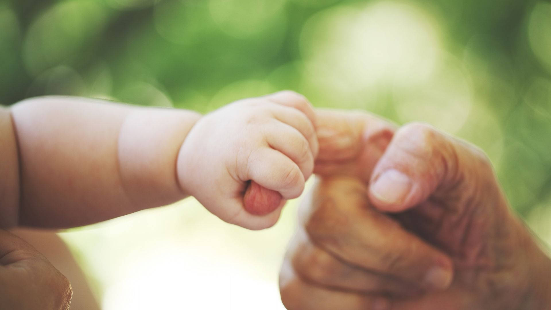 Baby Hand Grabbing On A Finger Background