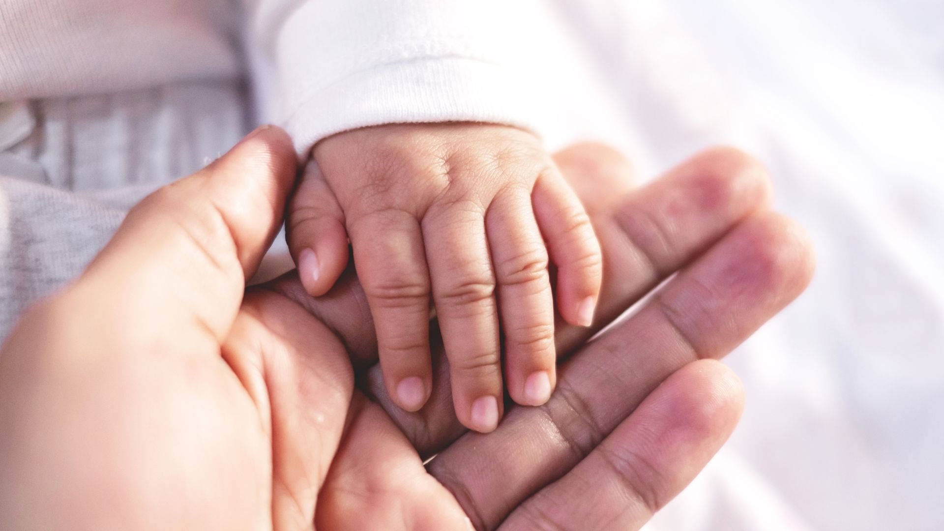 Baby Hand In A Caring Hand Background