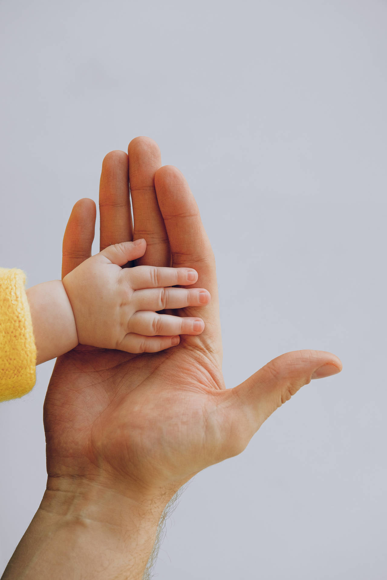 Baby Hand On A Palm Background