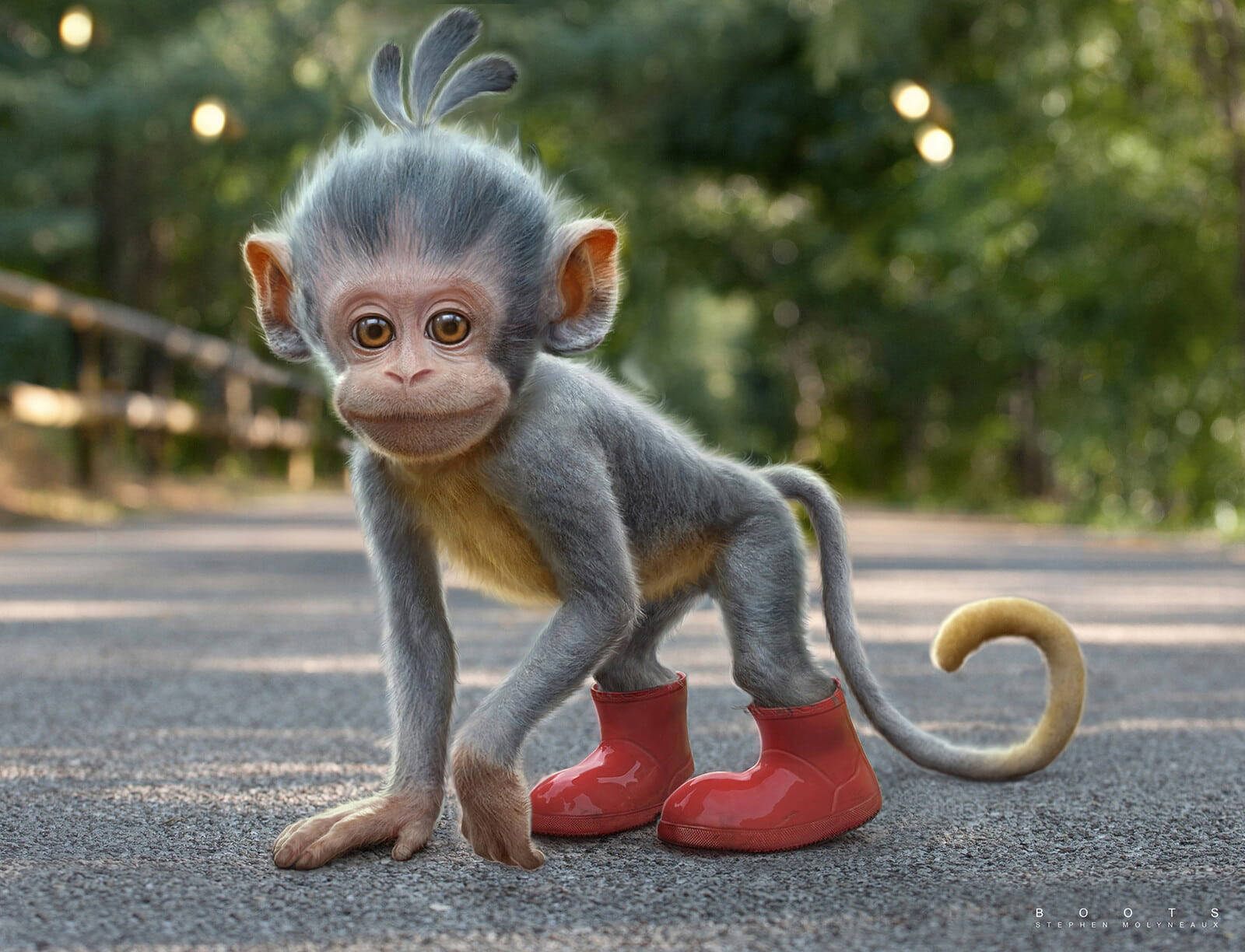 Baby Monkey Boots Background