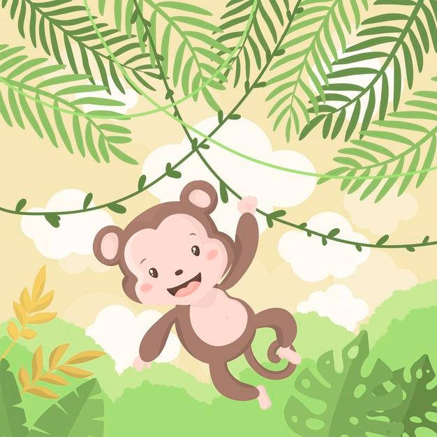 Baby Monkey In Jungle Background