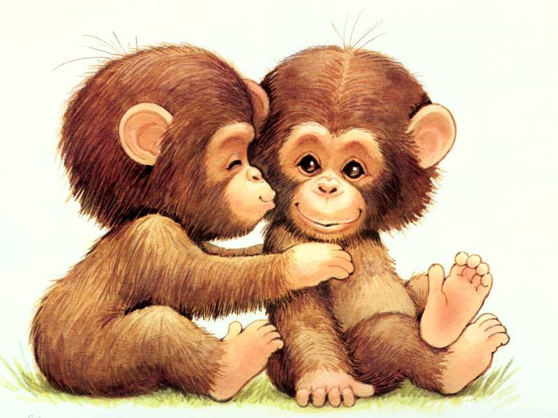 Baby Monkey Twins Background