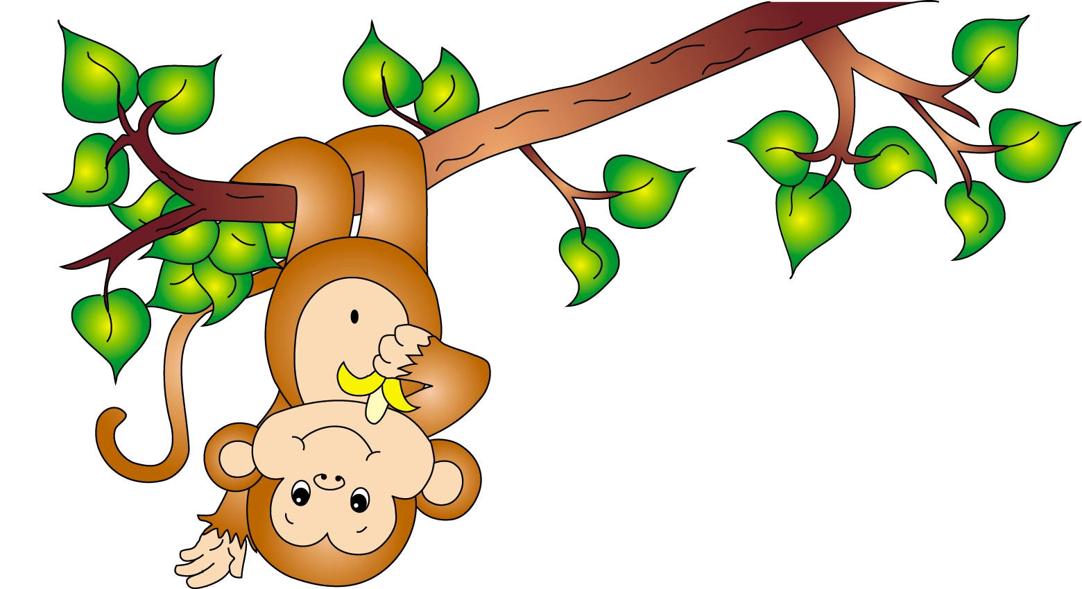 Baby Monkey Upside Down Background