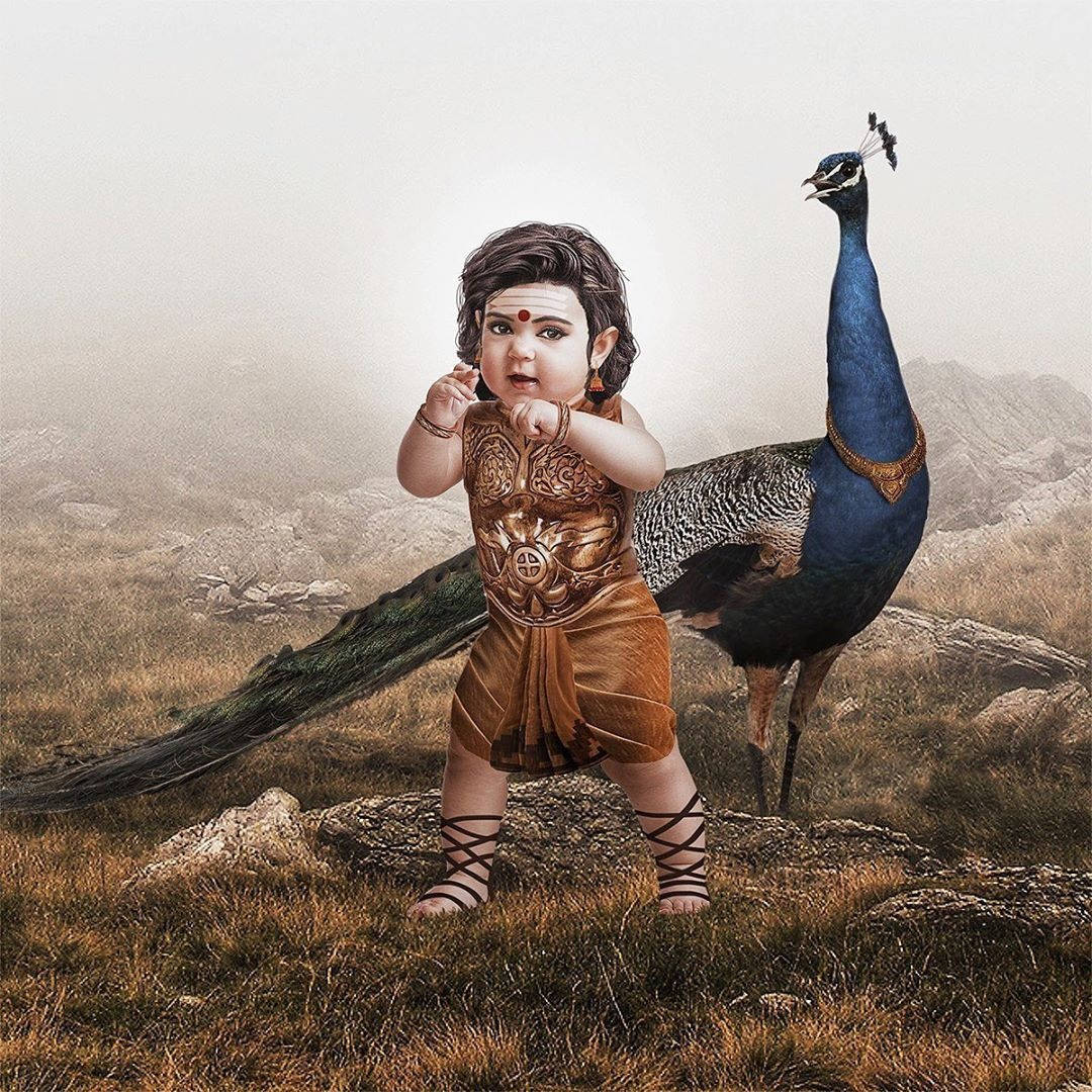 Baby Murugan And Peacock Paravani Background