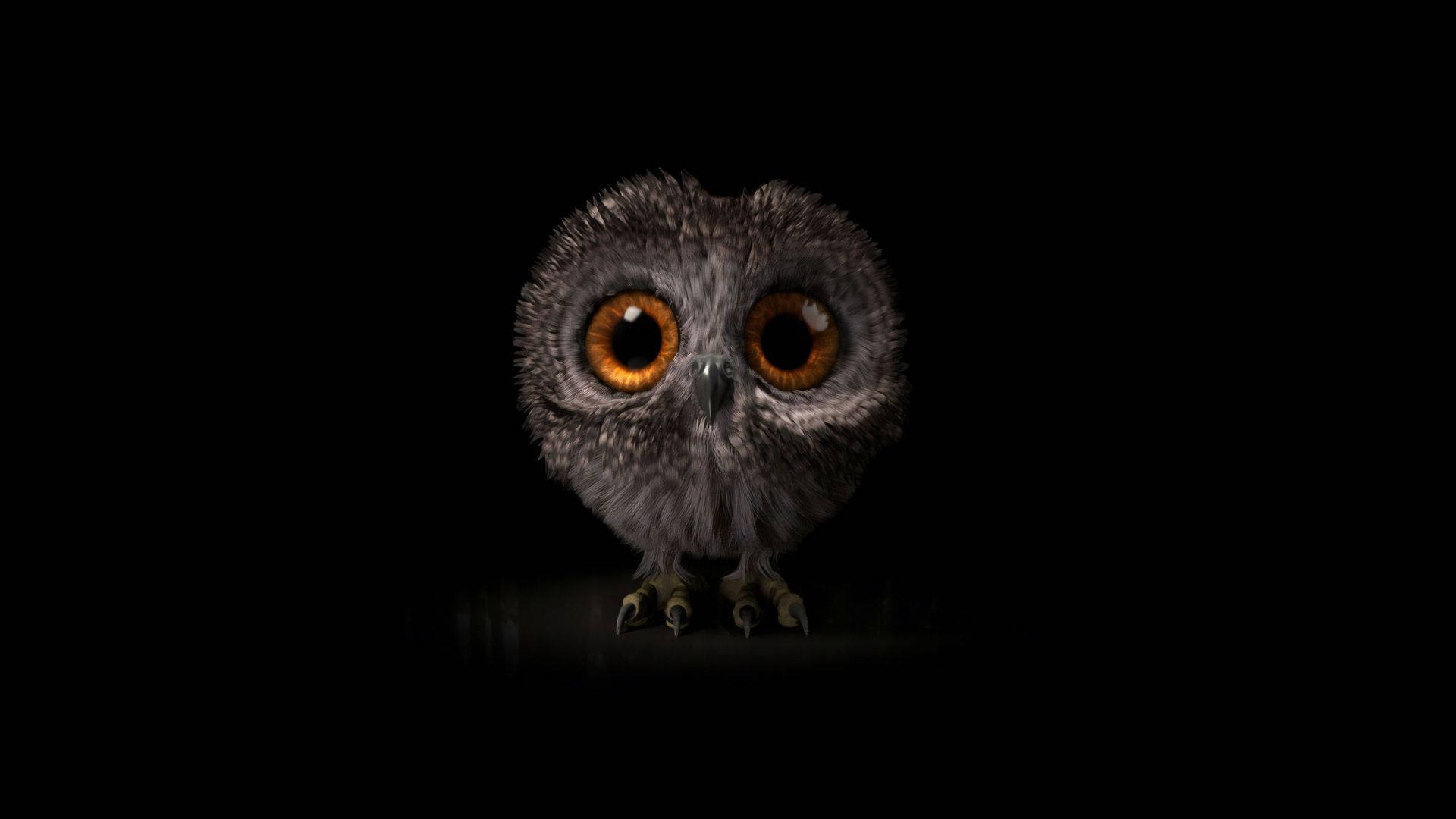 Baby Owl In The Dark Background