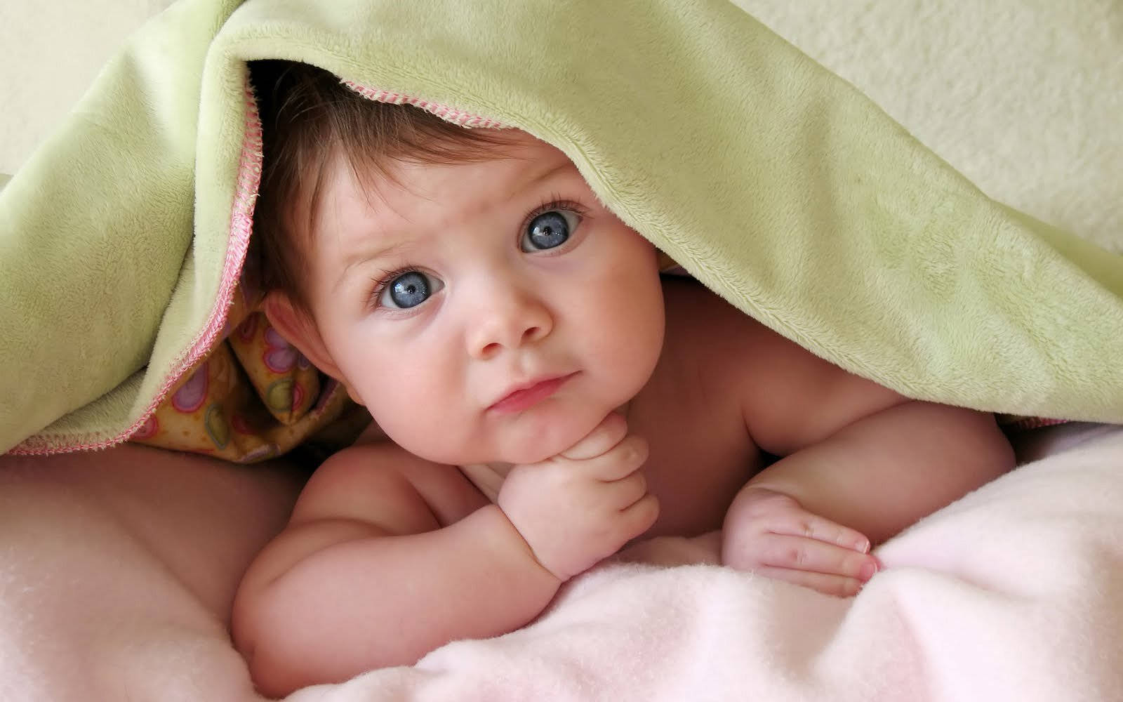 Baby Photography Infant Under A Blanket Background