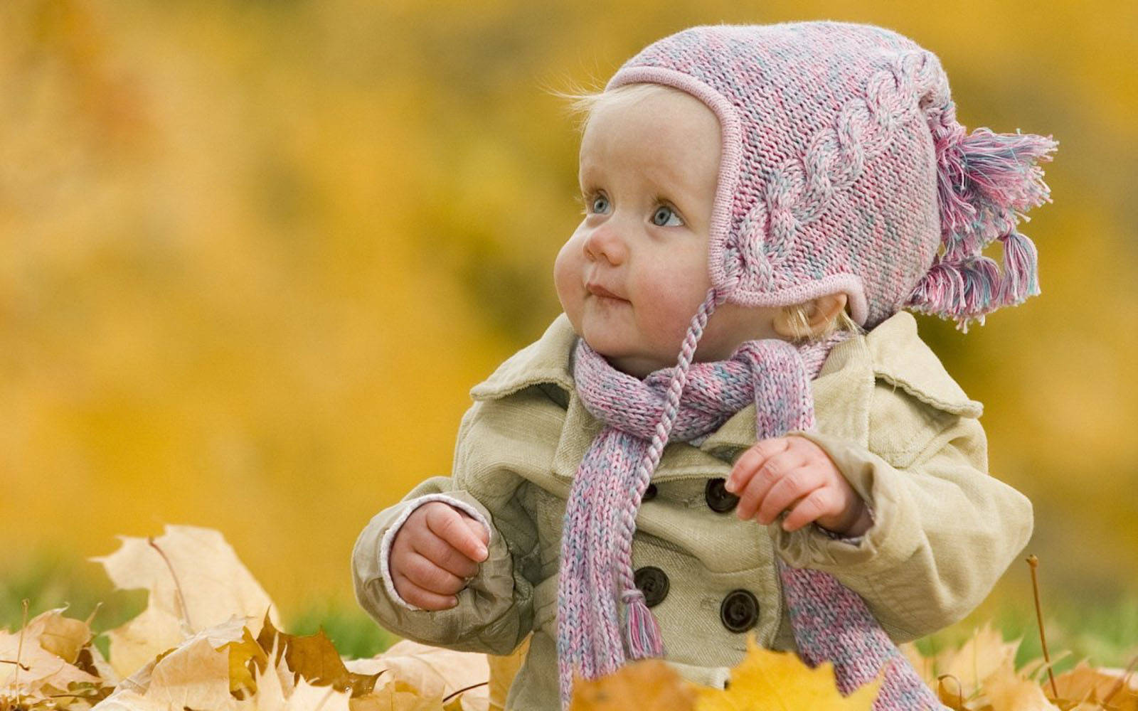 Baby Photography With Pile Of Leaves Background