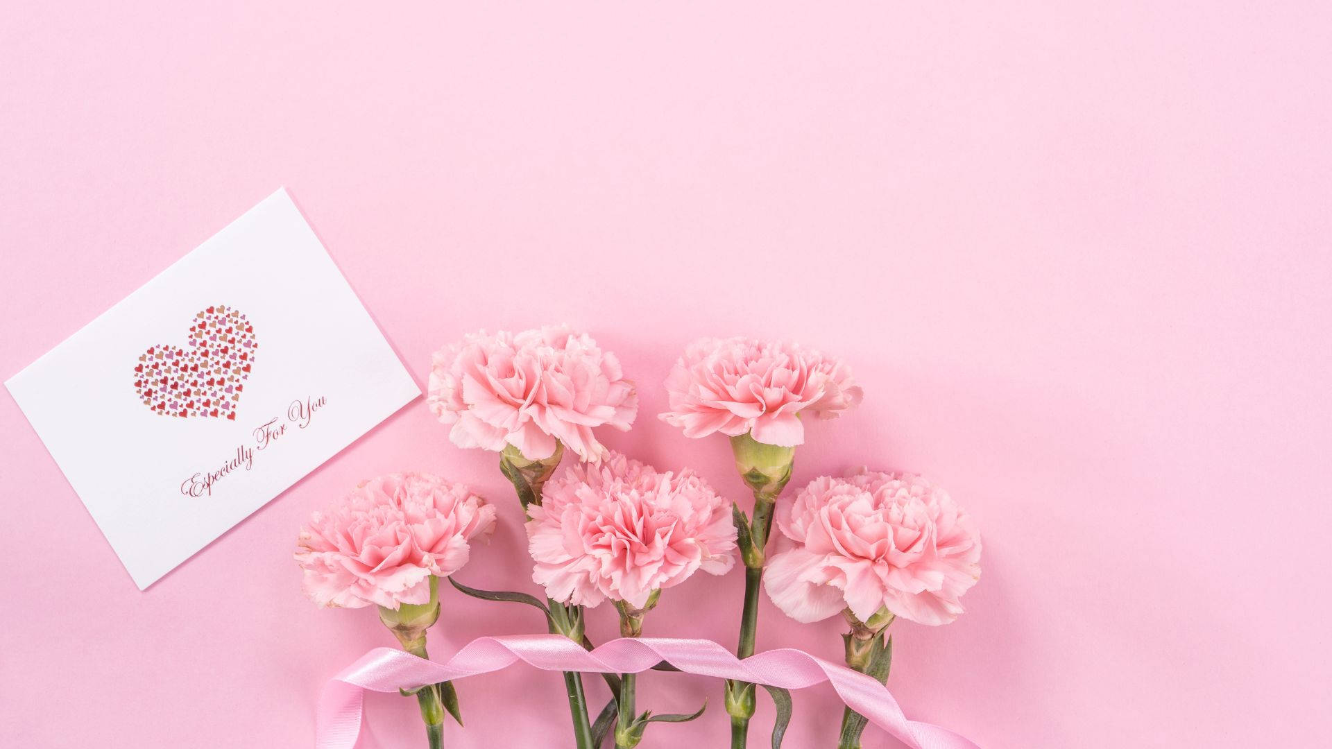 Baby Pink Carnation Flowers With Card