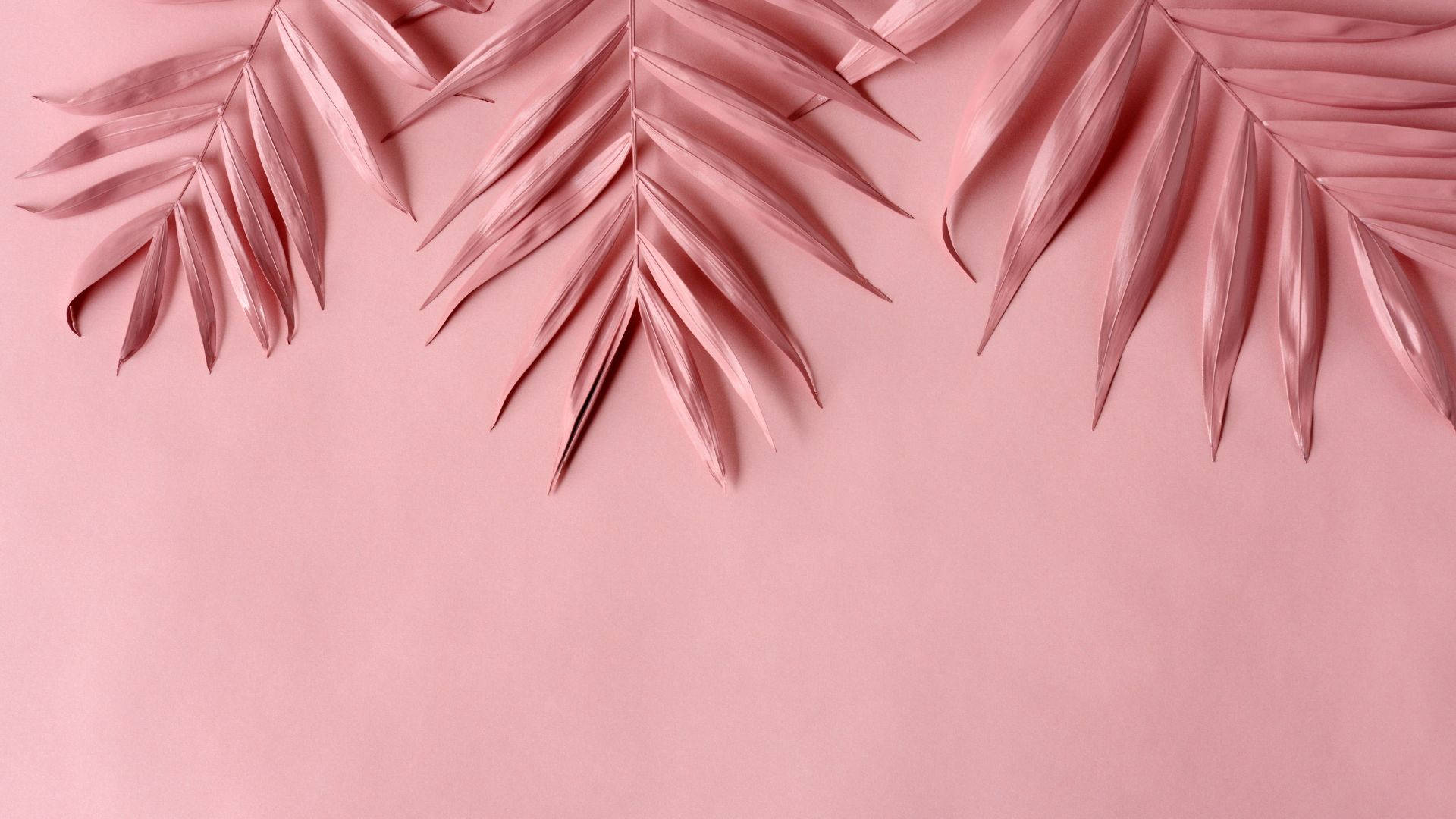 Baby Pink Leaves Aesthetic